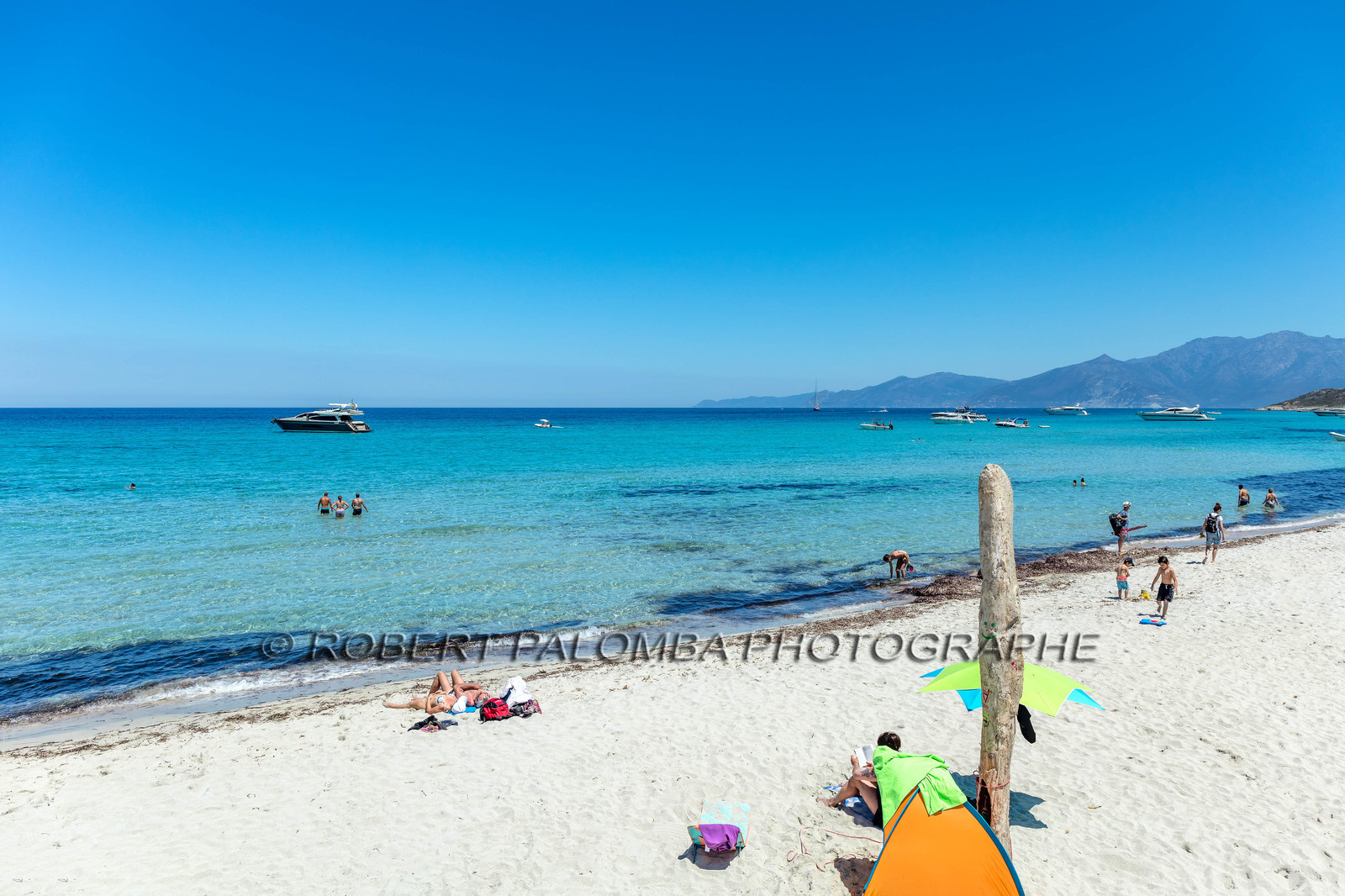 Saleccia