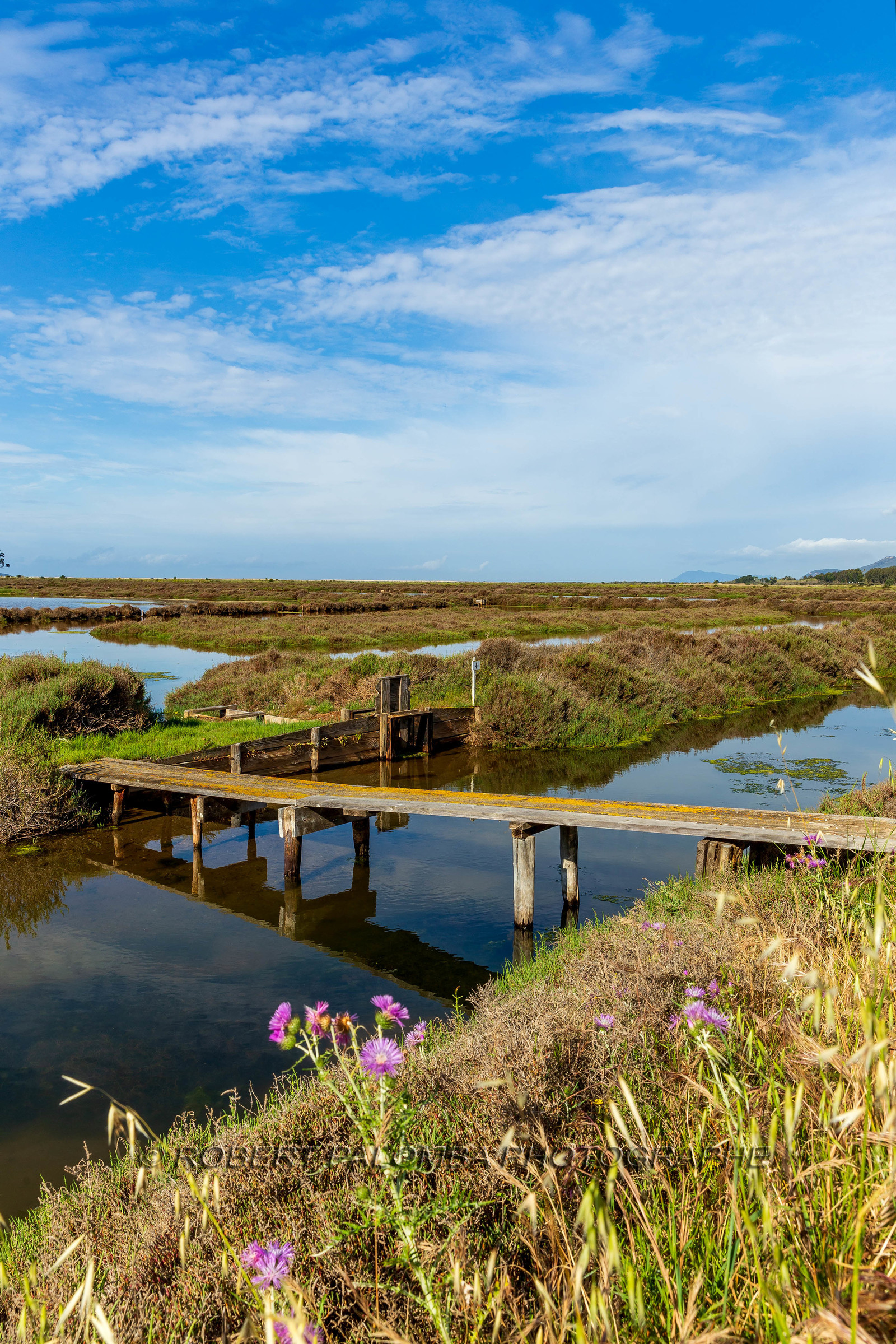 Salins d'Hyères