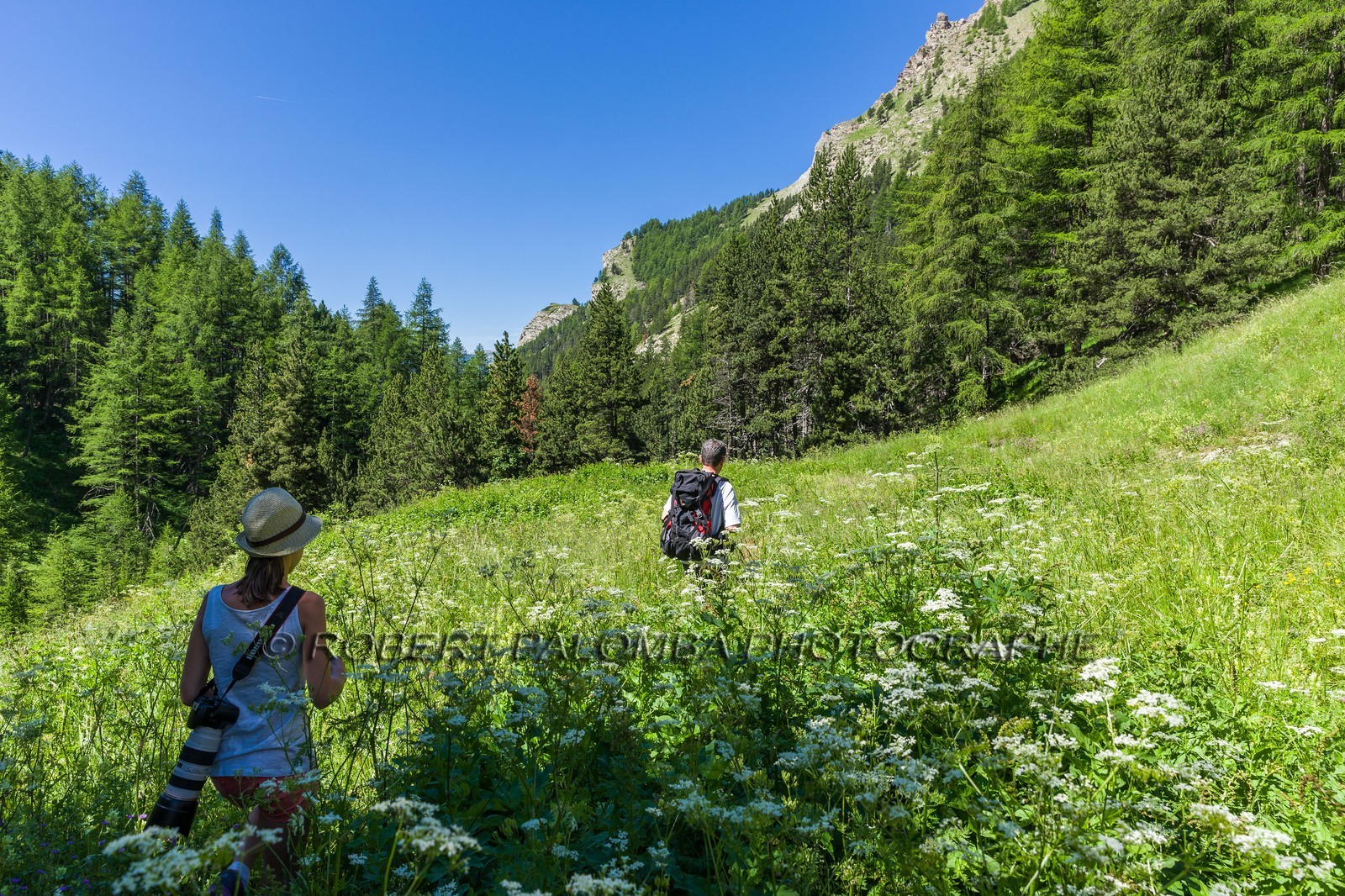 Allos