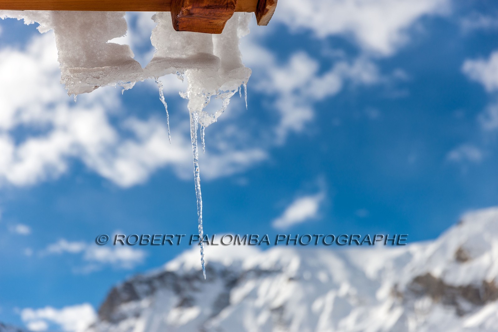 Auron