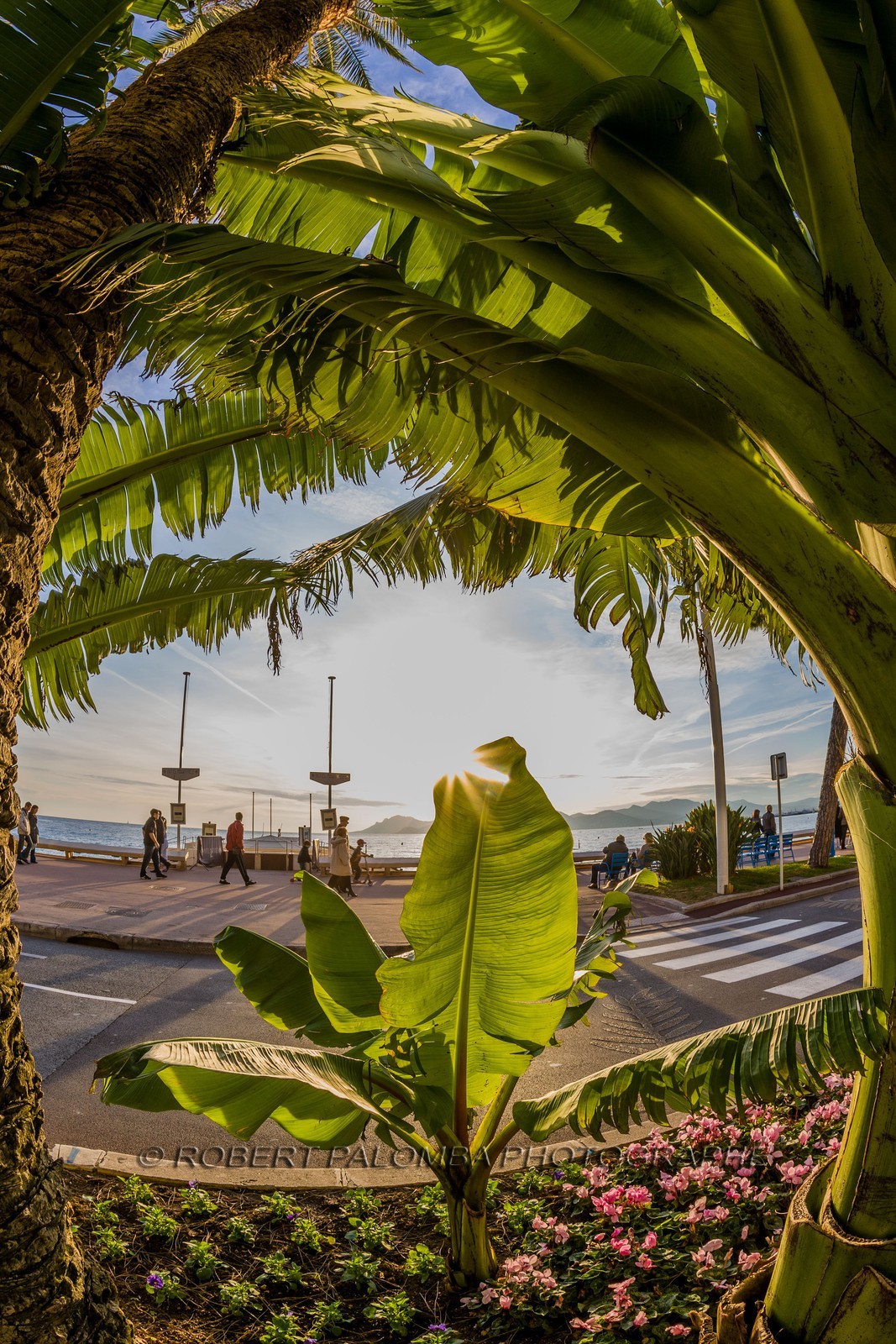 Cannes