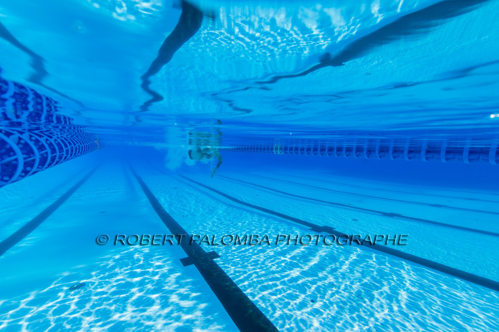 Natation