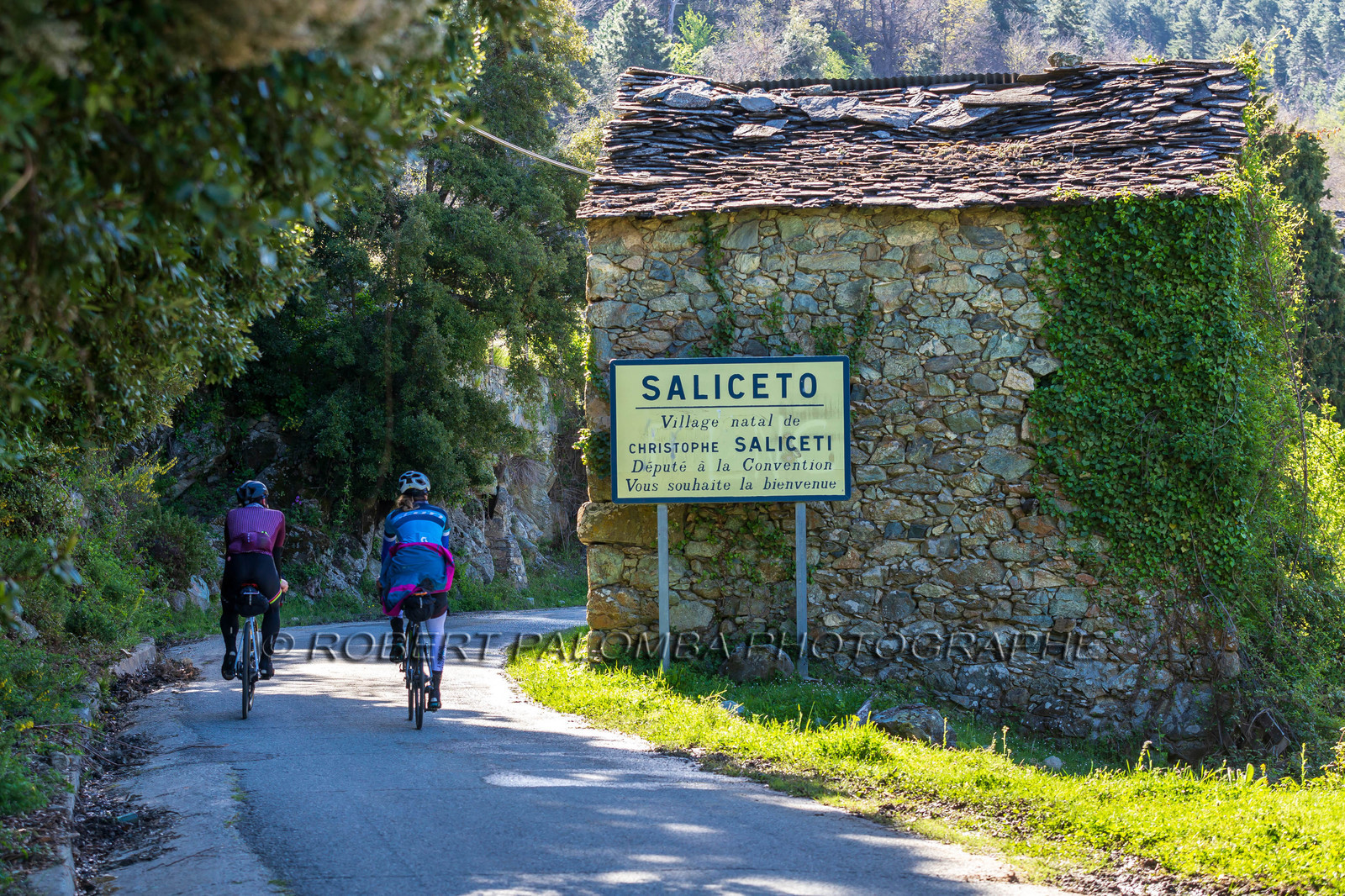 Saliceto
