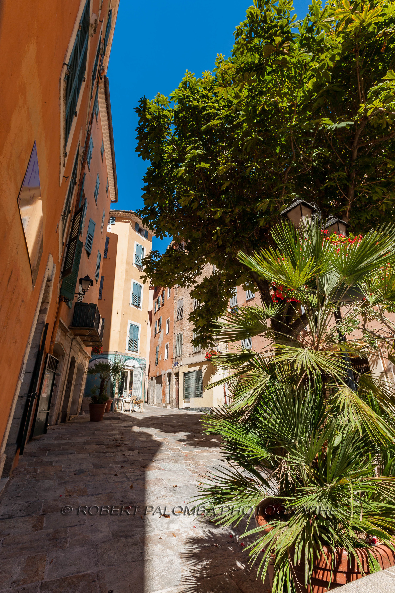 Grasse
