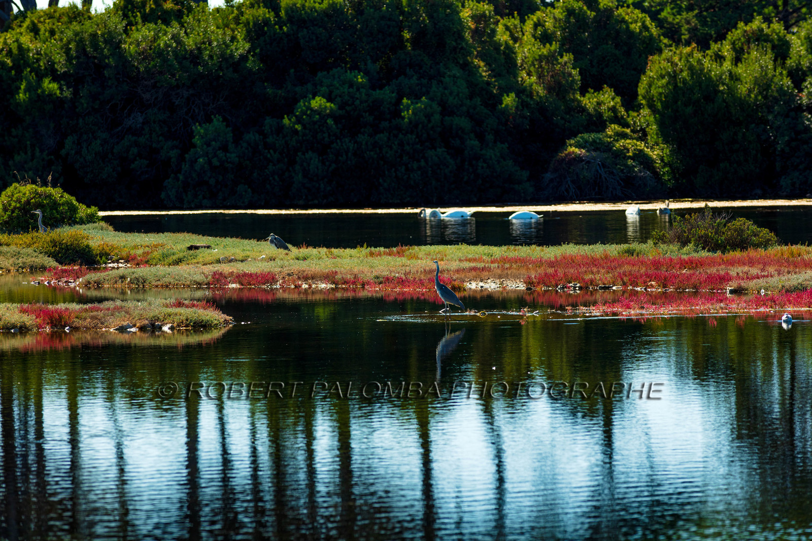Lérins, Sainte-Marguerite