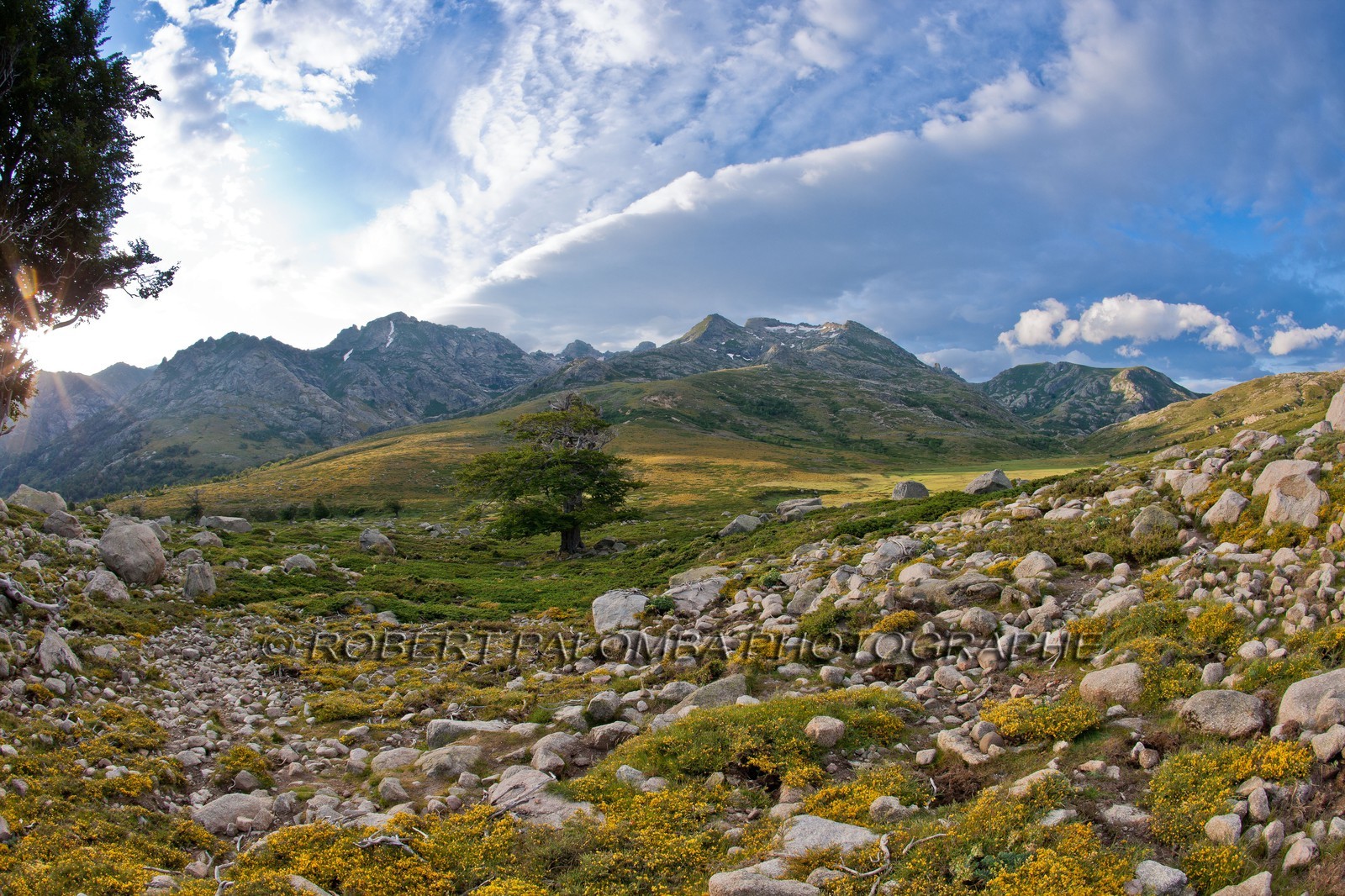 GR 20 Nord