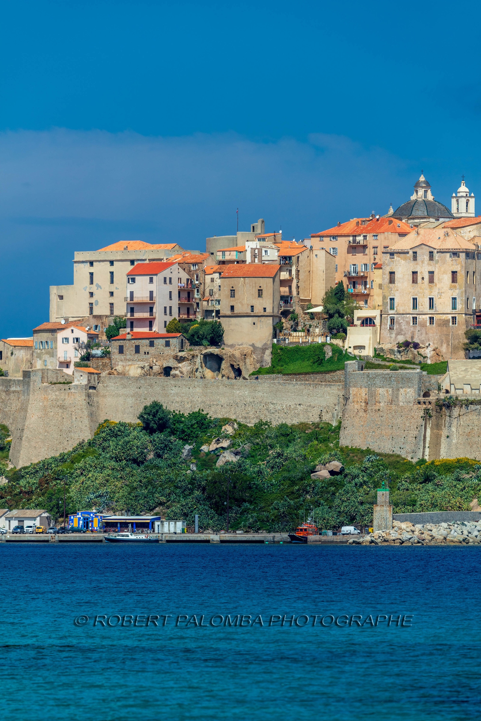 Calvi