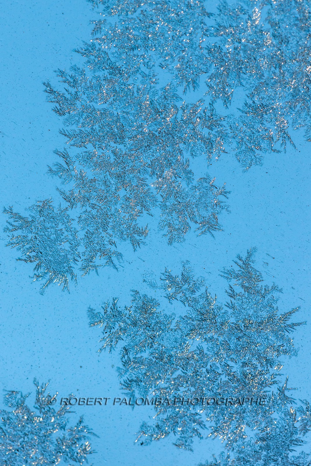 Crisataux de neige