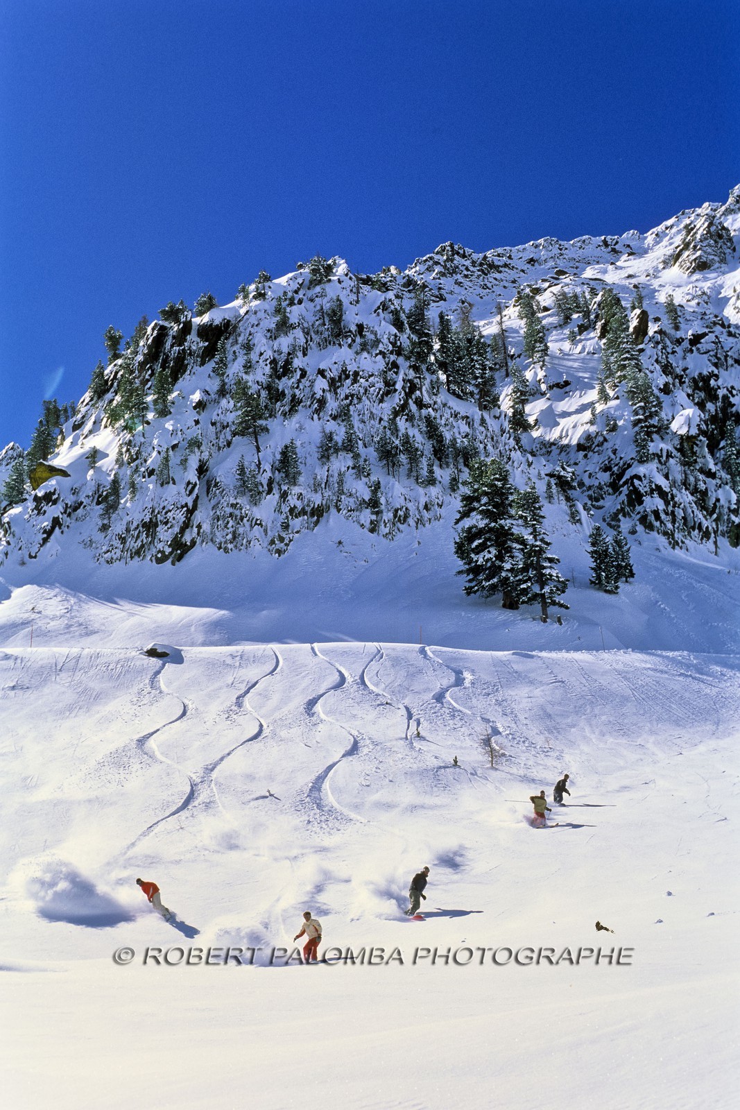Snowboard