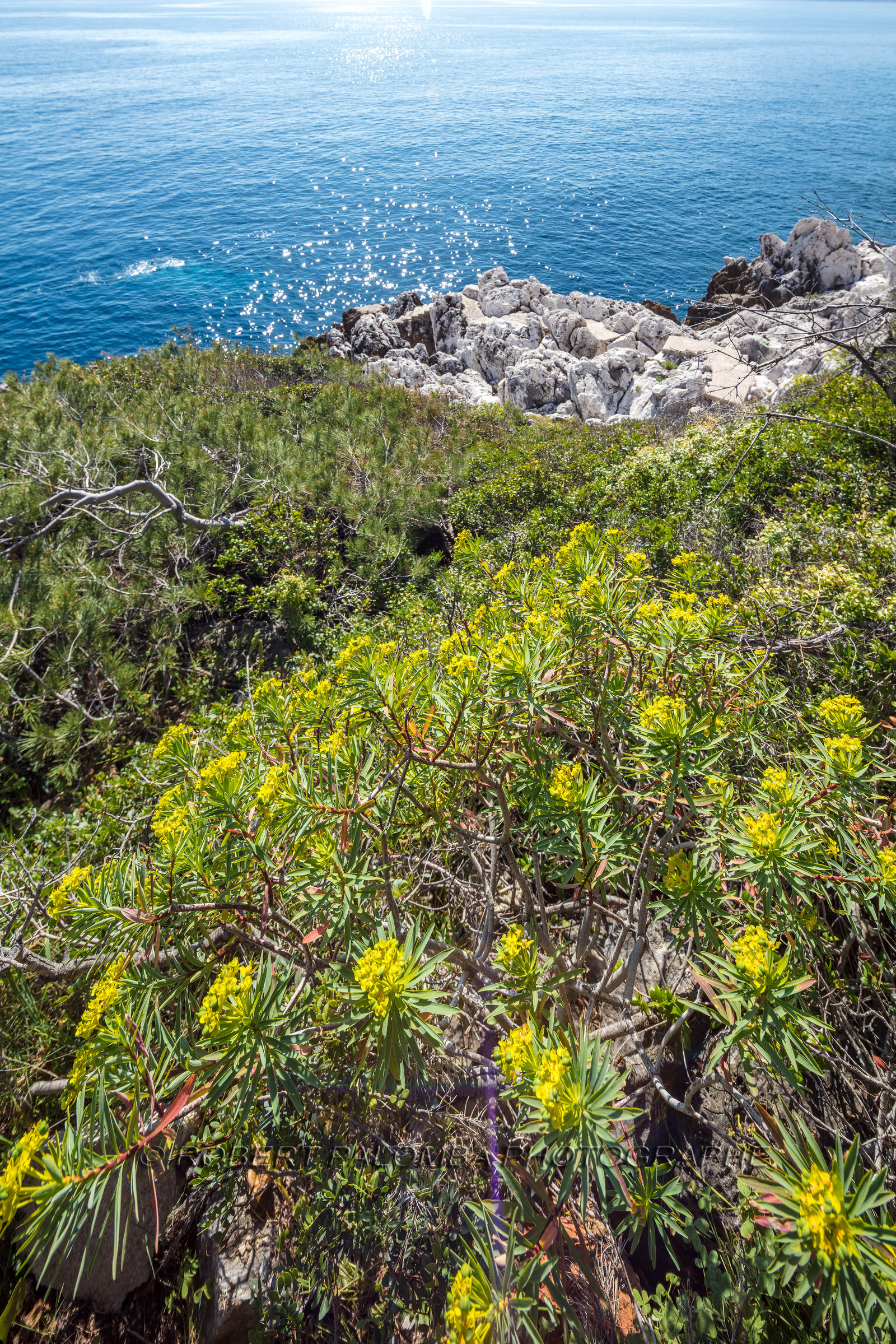 Roquebrune-Cap-Martin