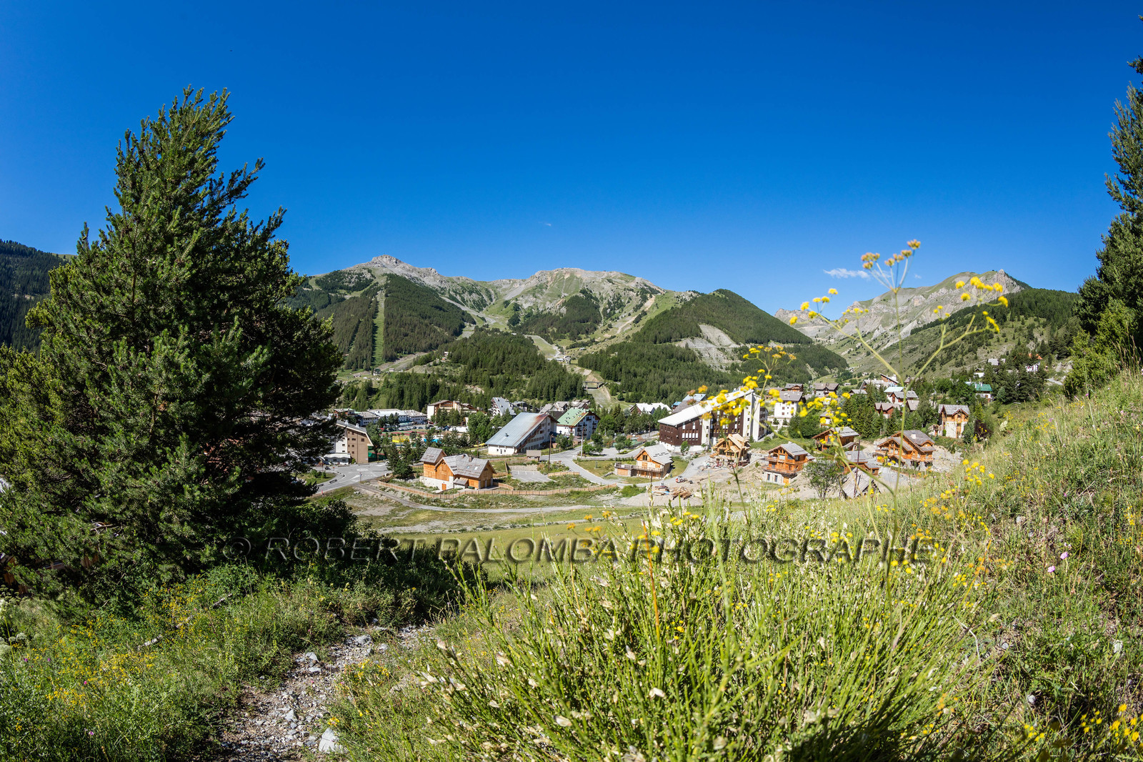 Auron