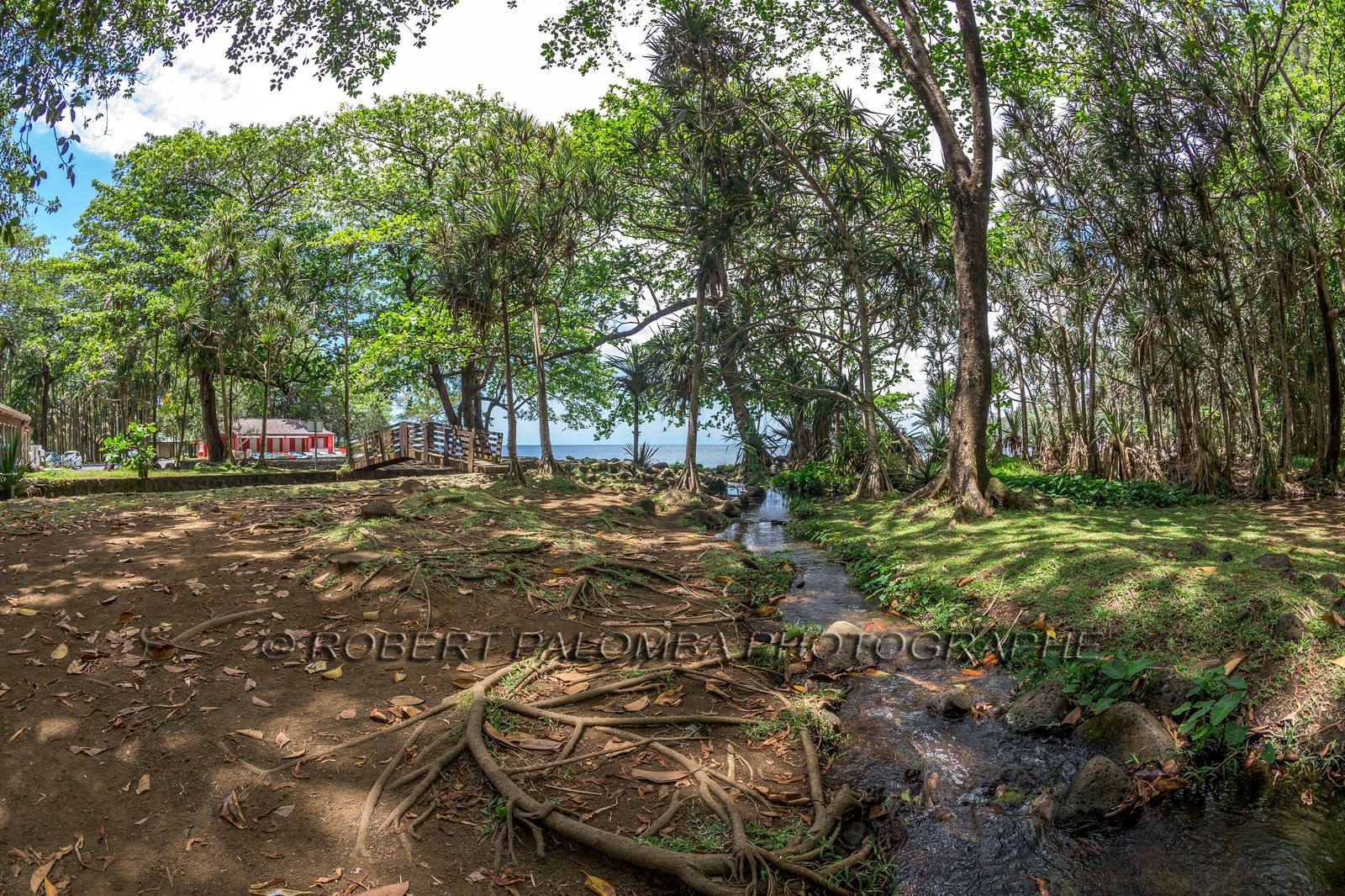 Ile de La Réunion