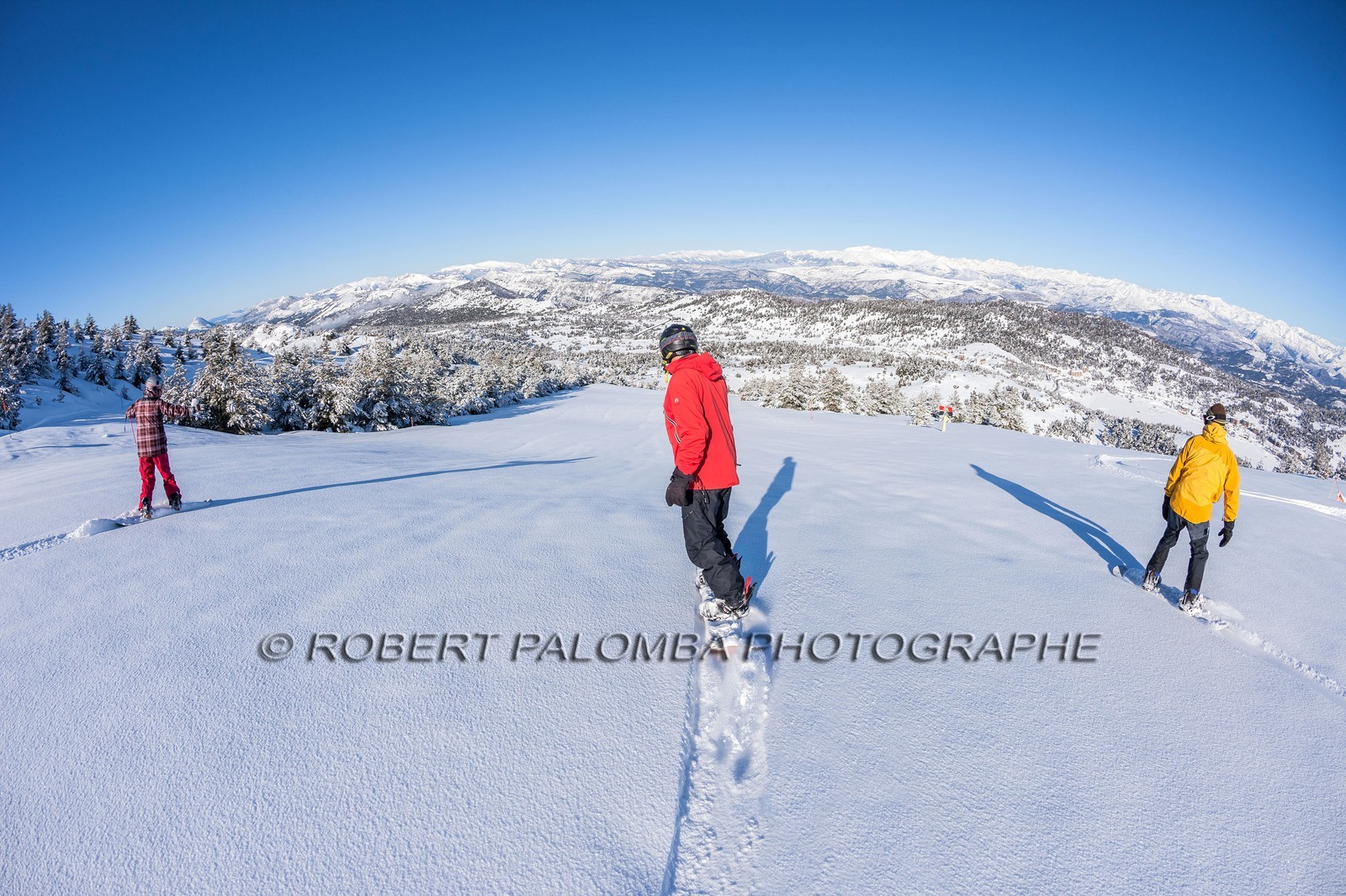 Snowboard