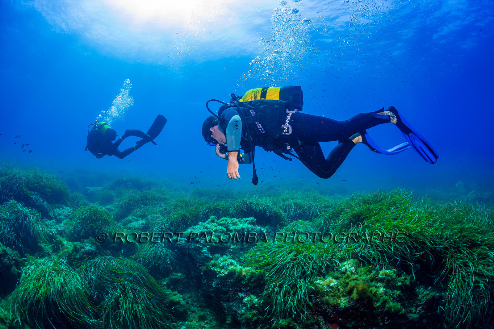 Plongée-sous-marine
