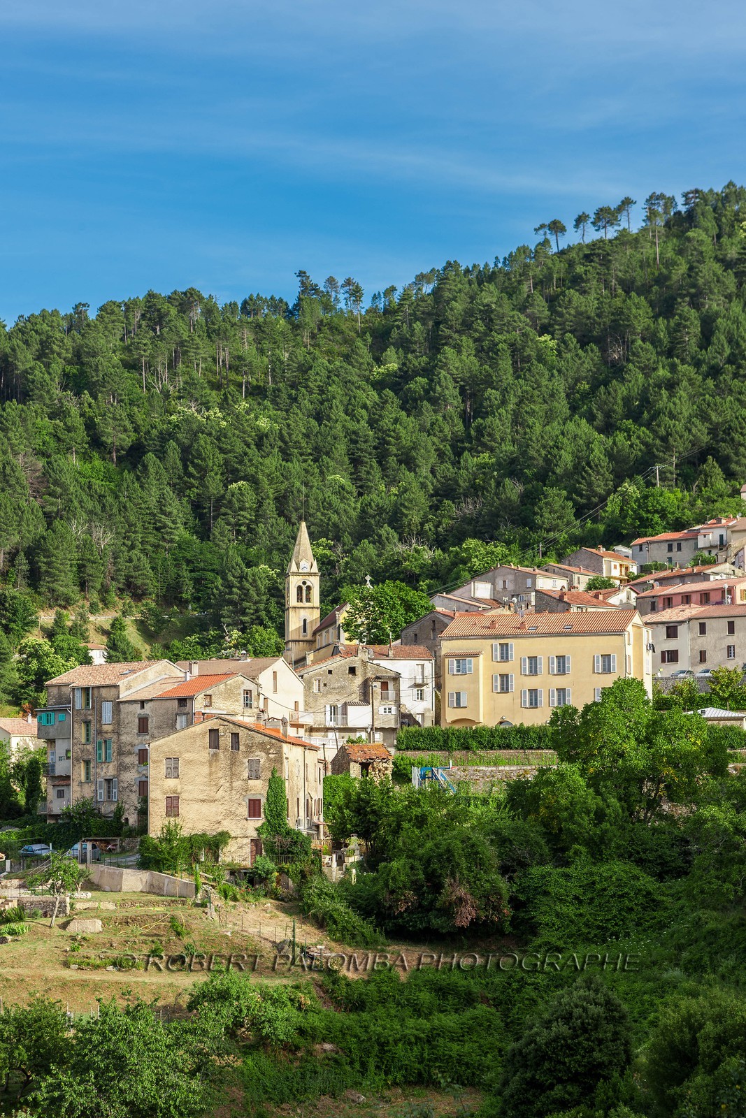 Vivario