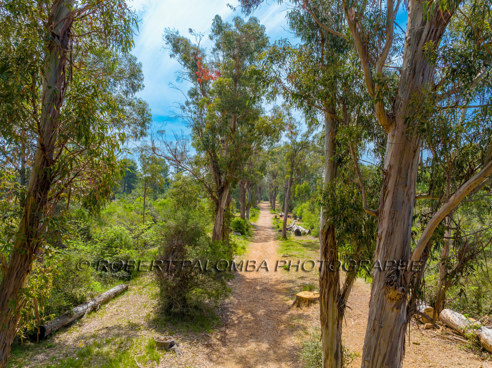 Lérins Sainte-Marguerite