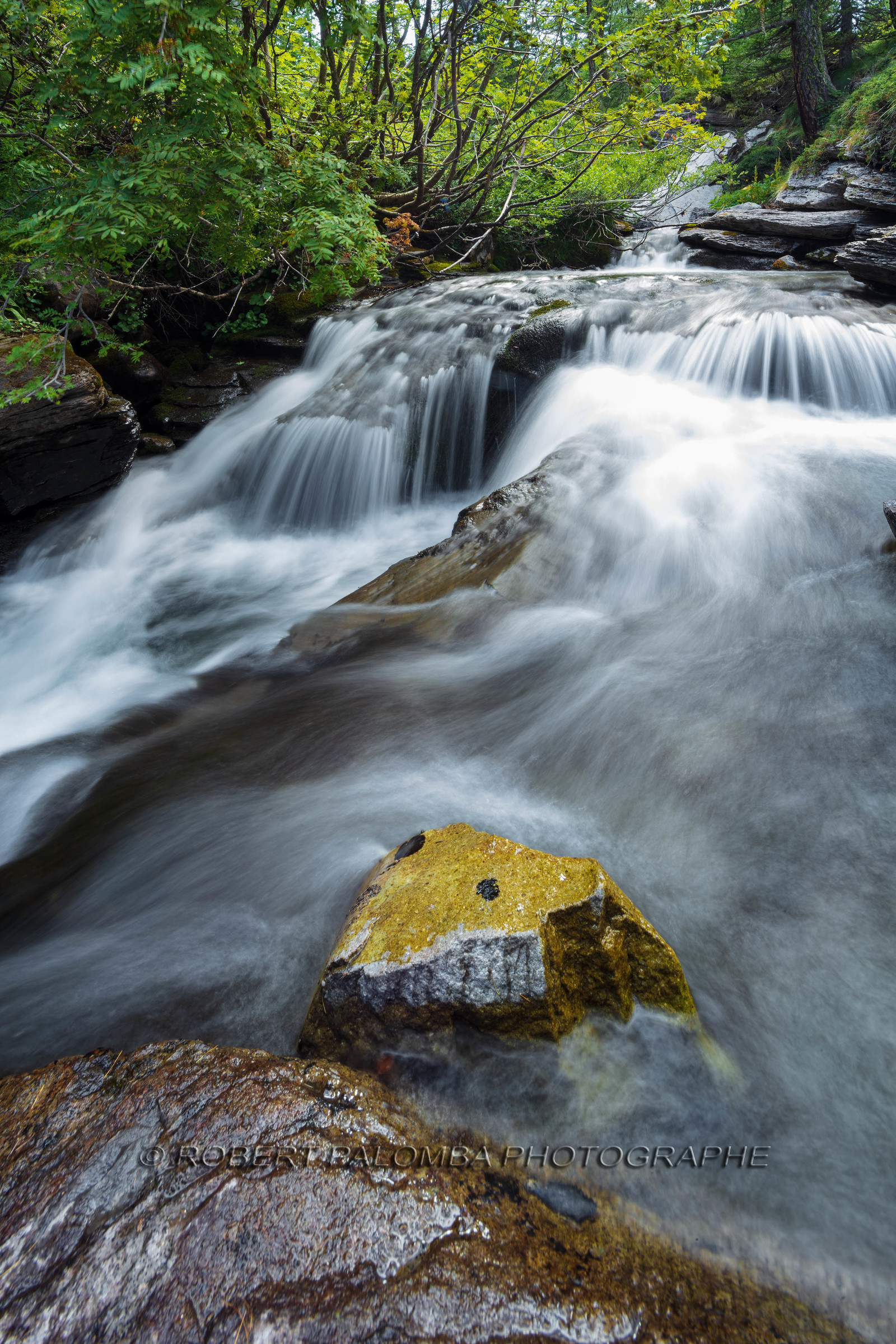 Torrent