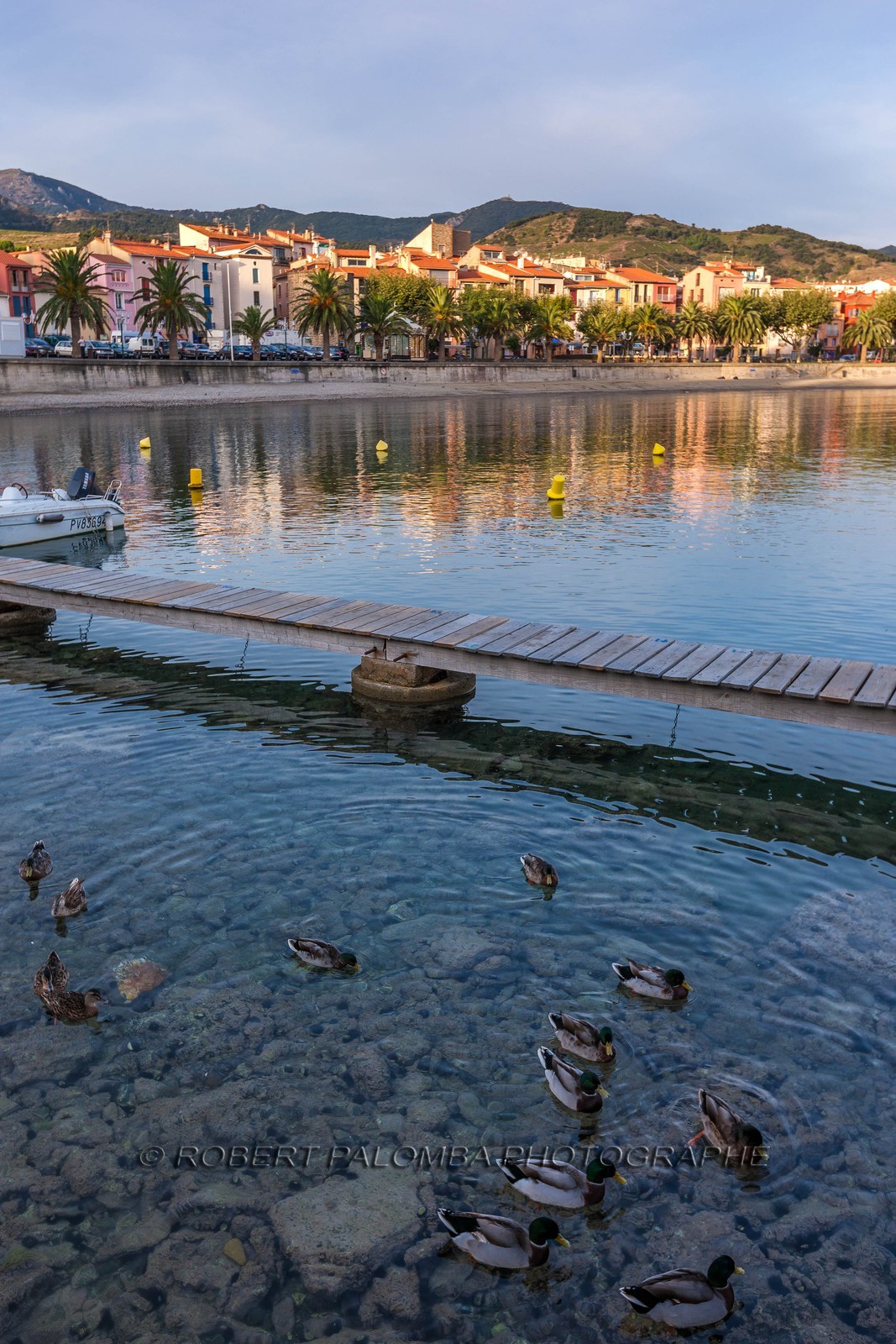 Collioure