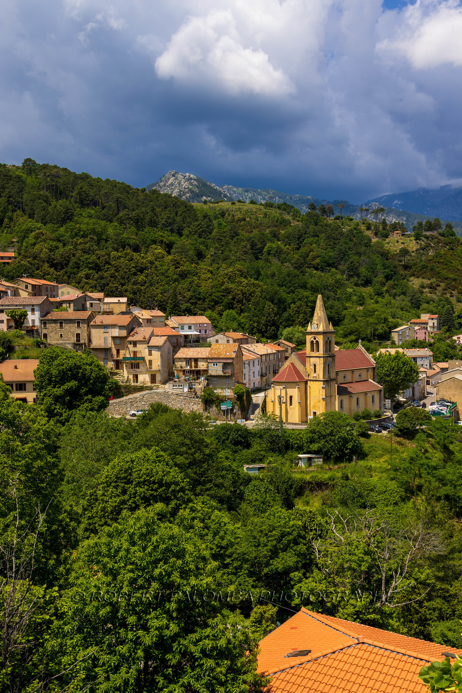 Vivario