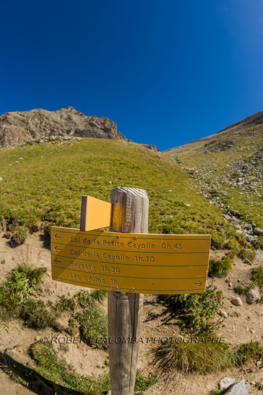 Col de la Petite Cayolle Col de la Petite Cayolle