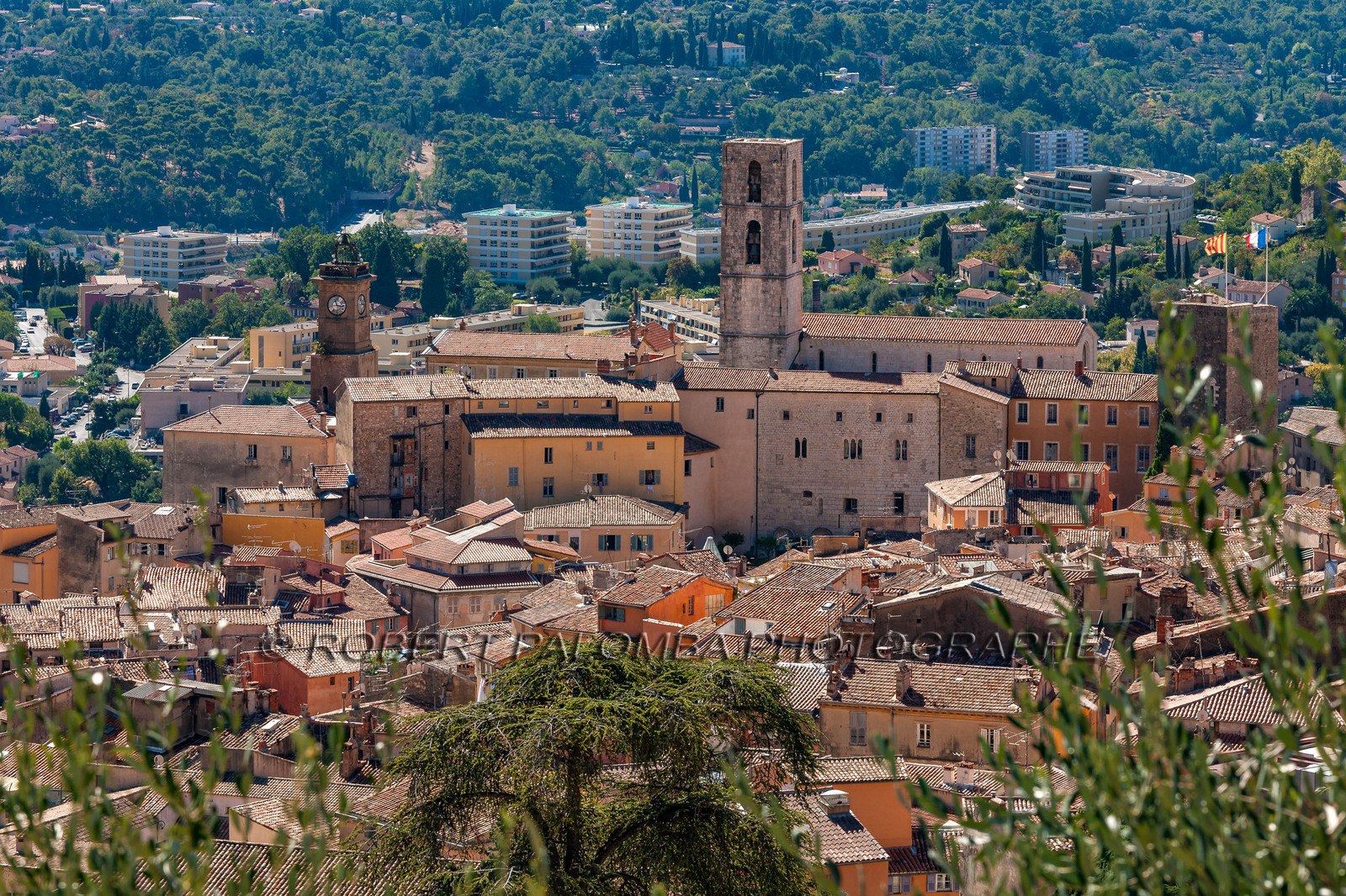 Grasse