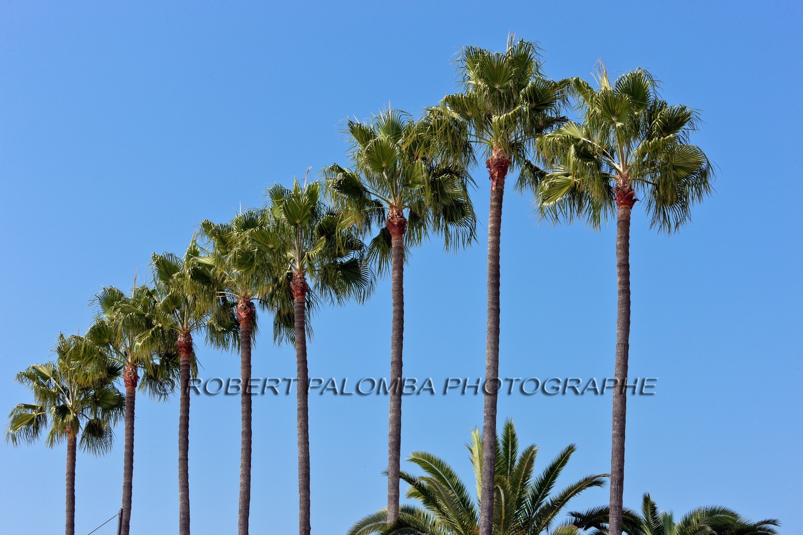 Cannes