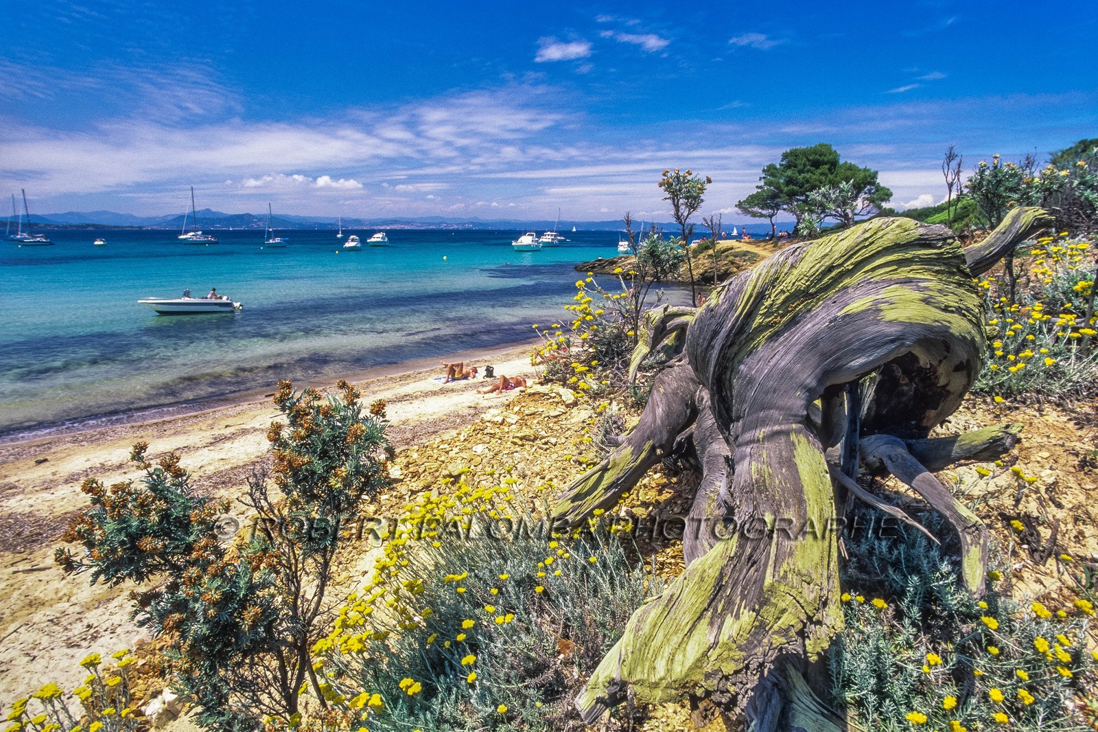 Porquerolles