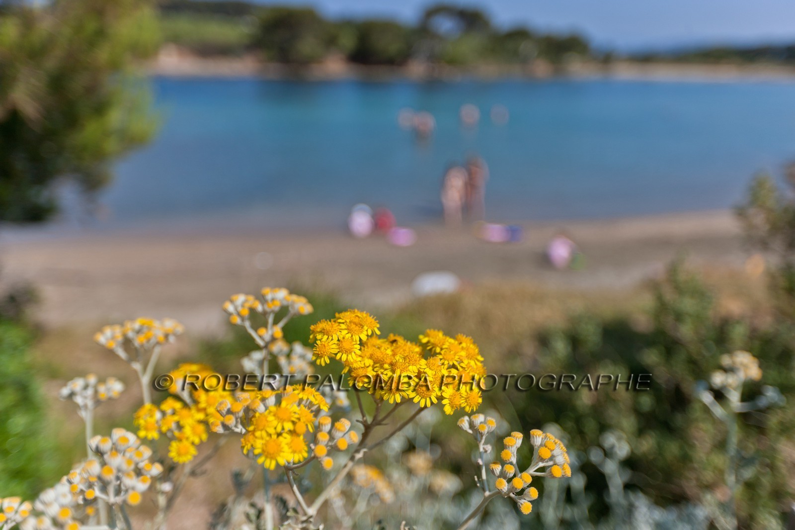 Ile du Grand Gaou
