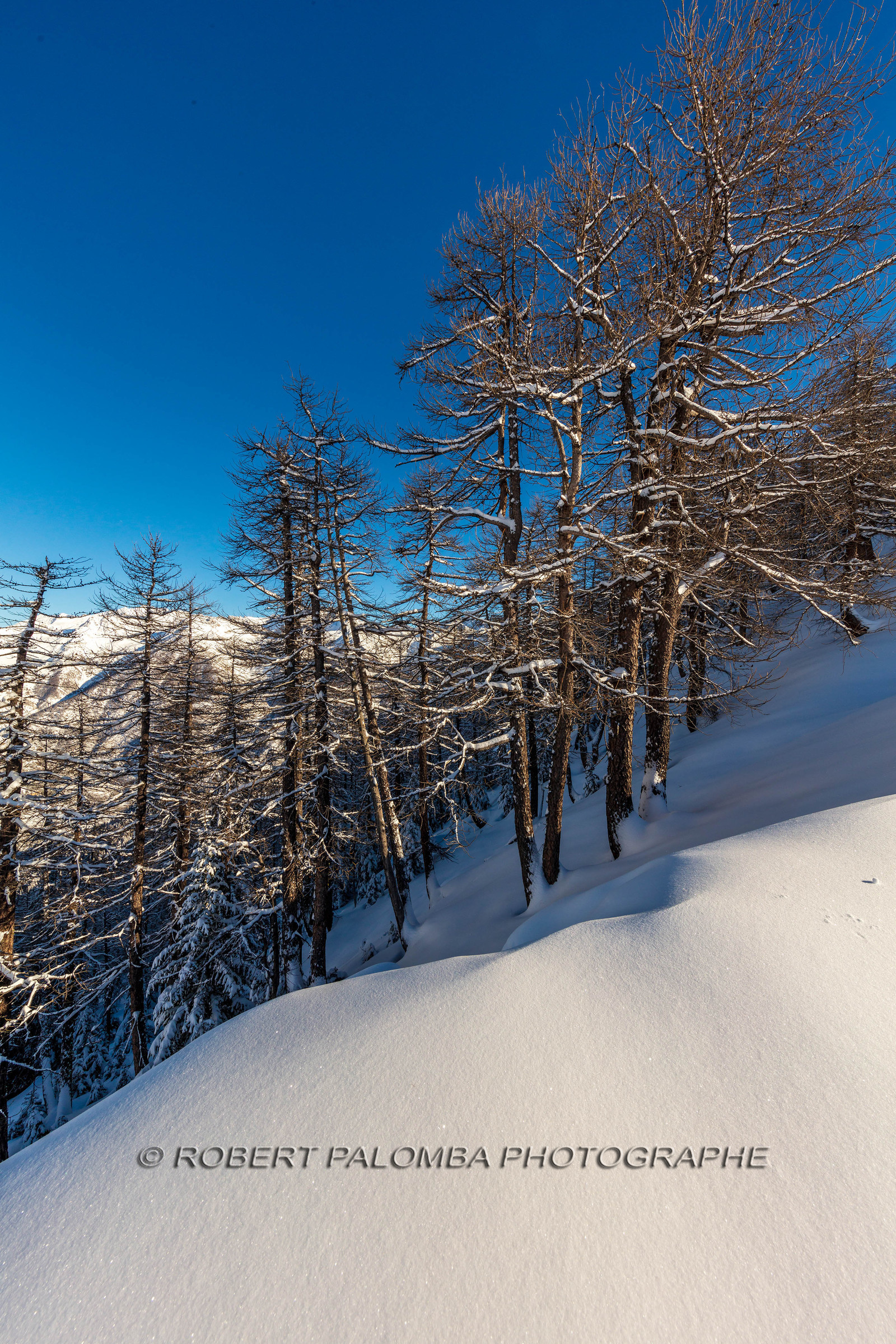 Auron