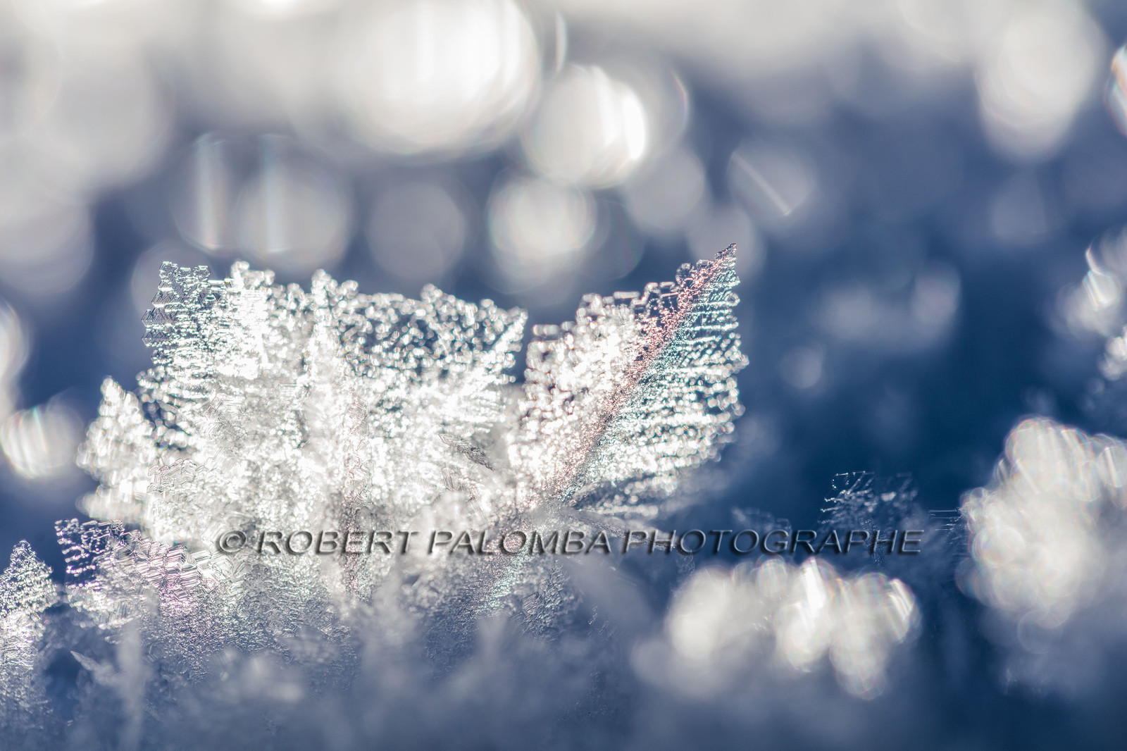 Cristaux de neige