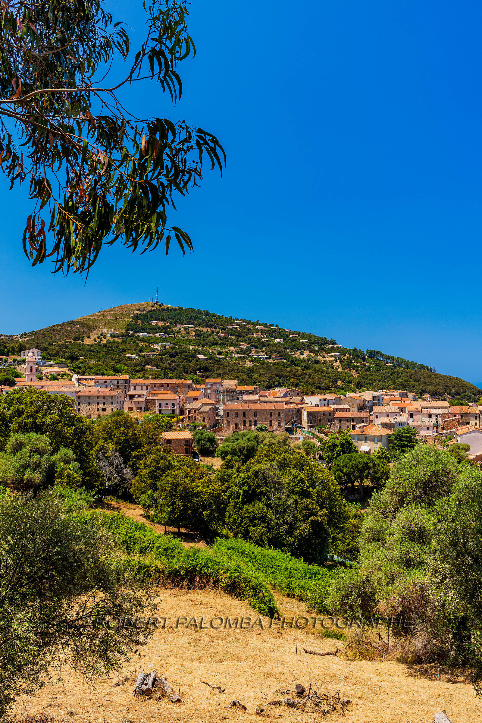 Piana