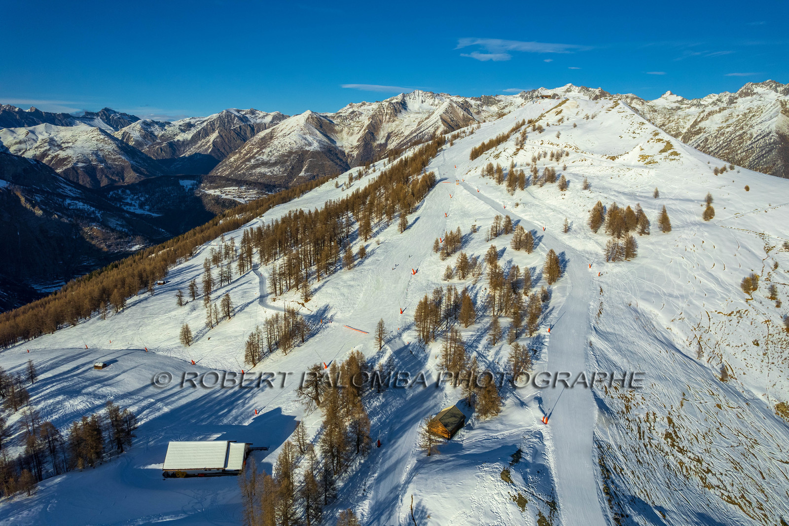 Auron