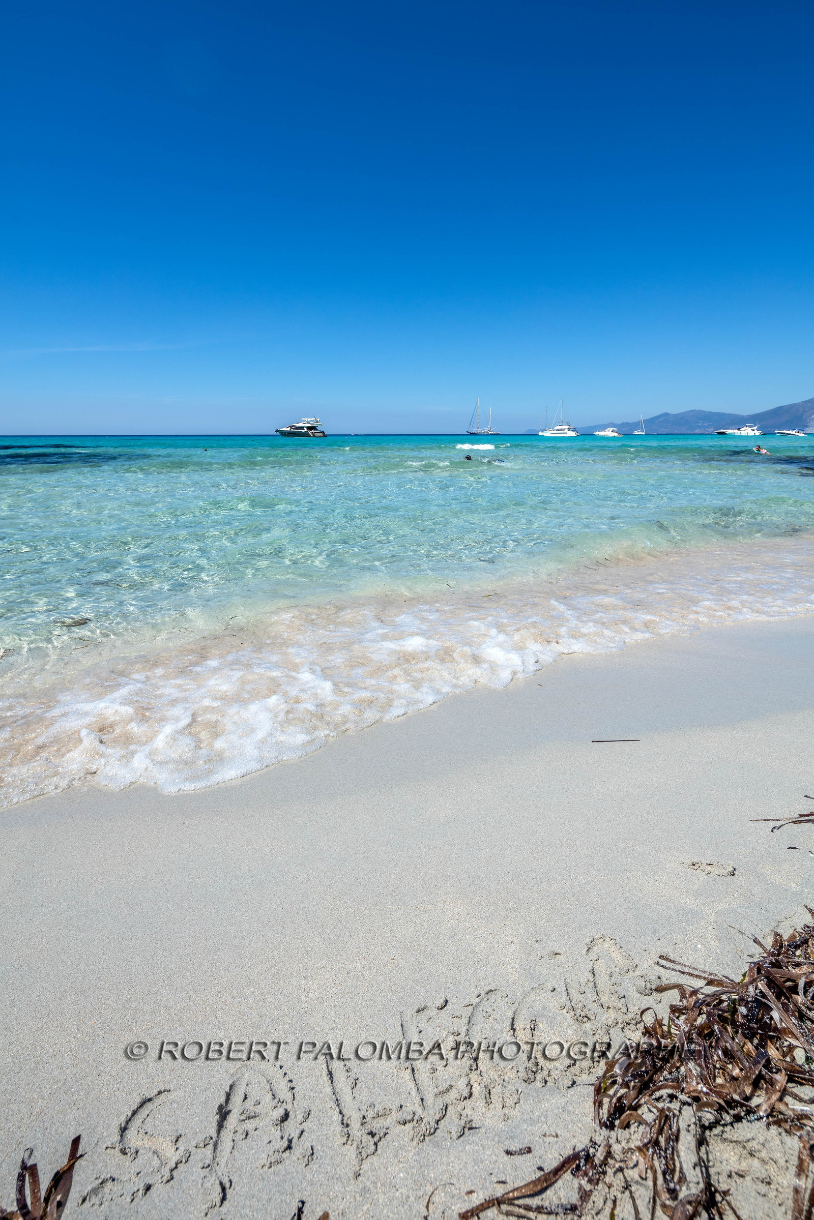 Saleccia