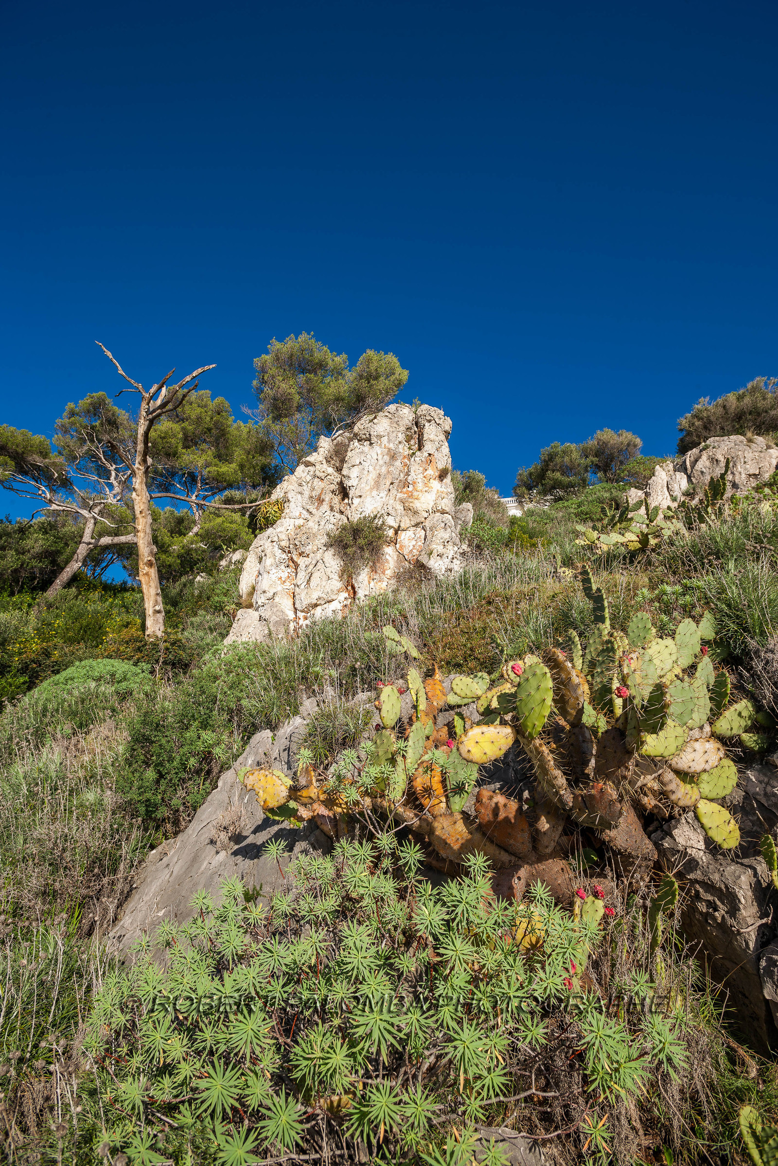 Roquebrune-Cap-Martin