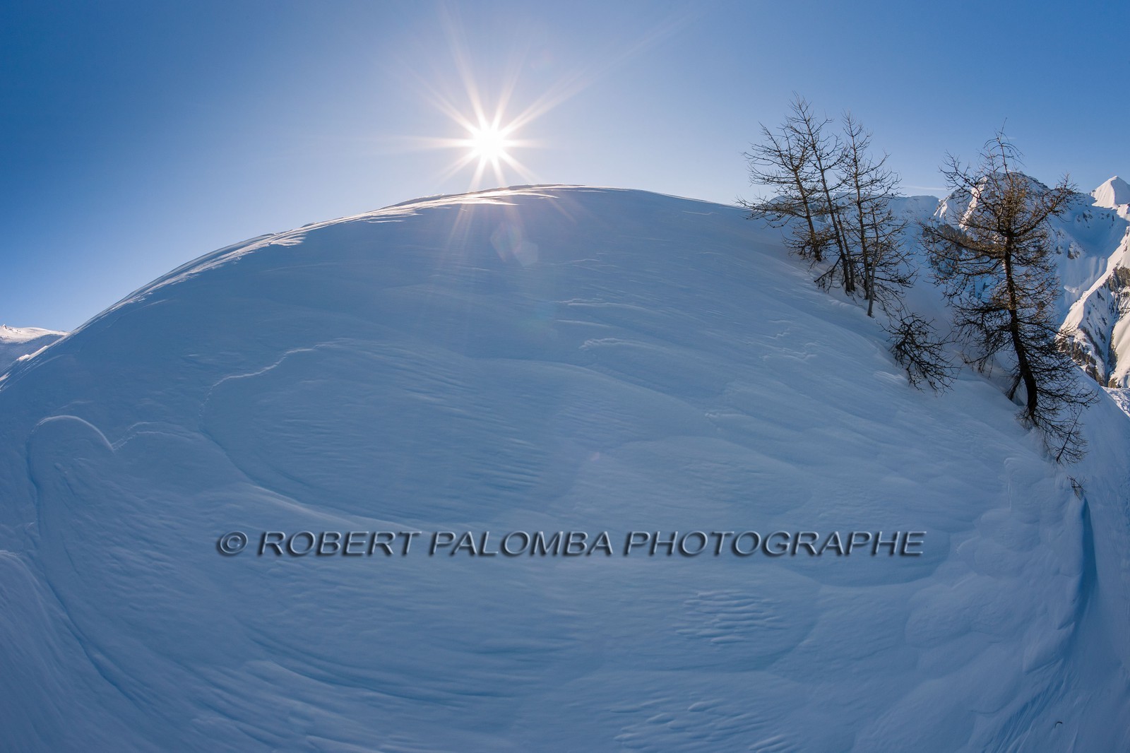 Auron