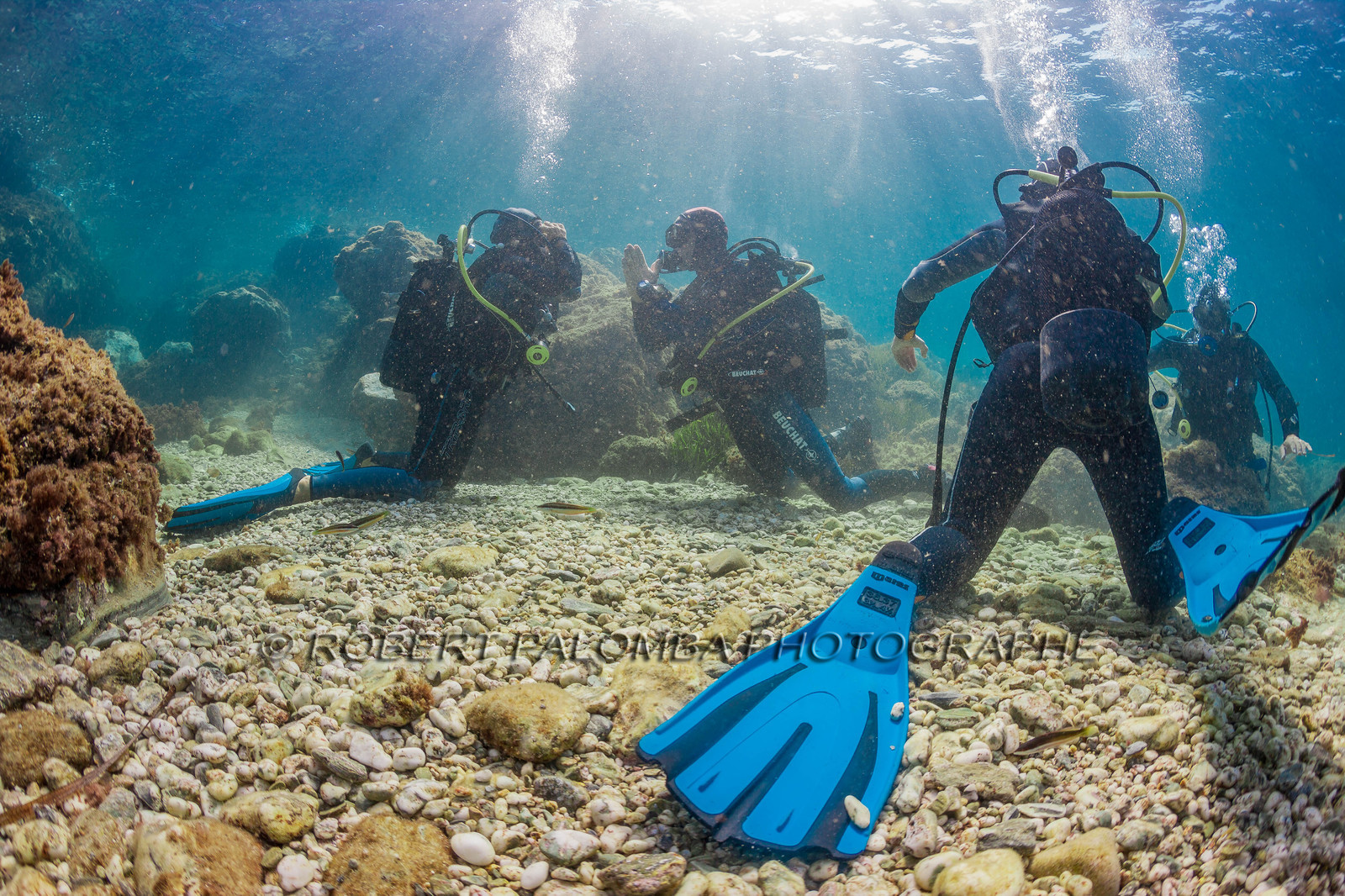 Plongée sous-marine