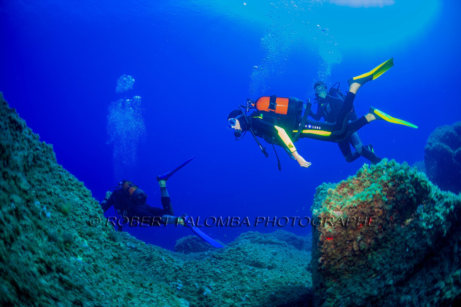 Plongée-sous-marine