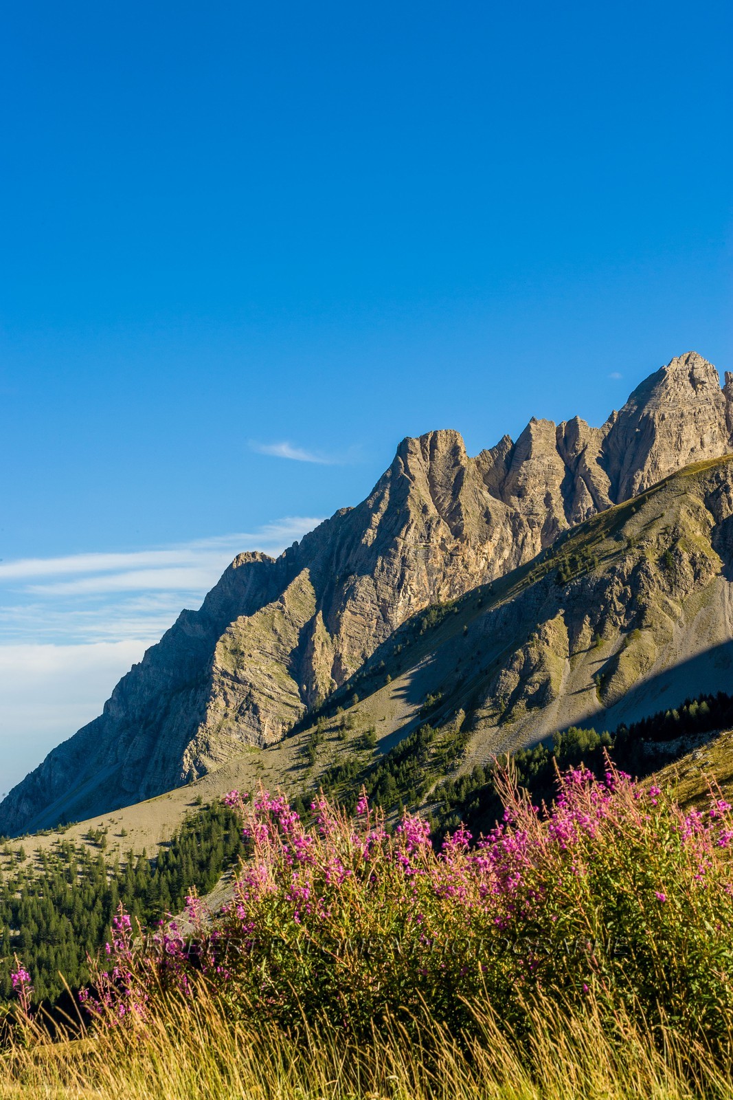 Col des Champs