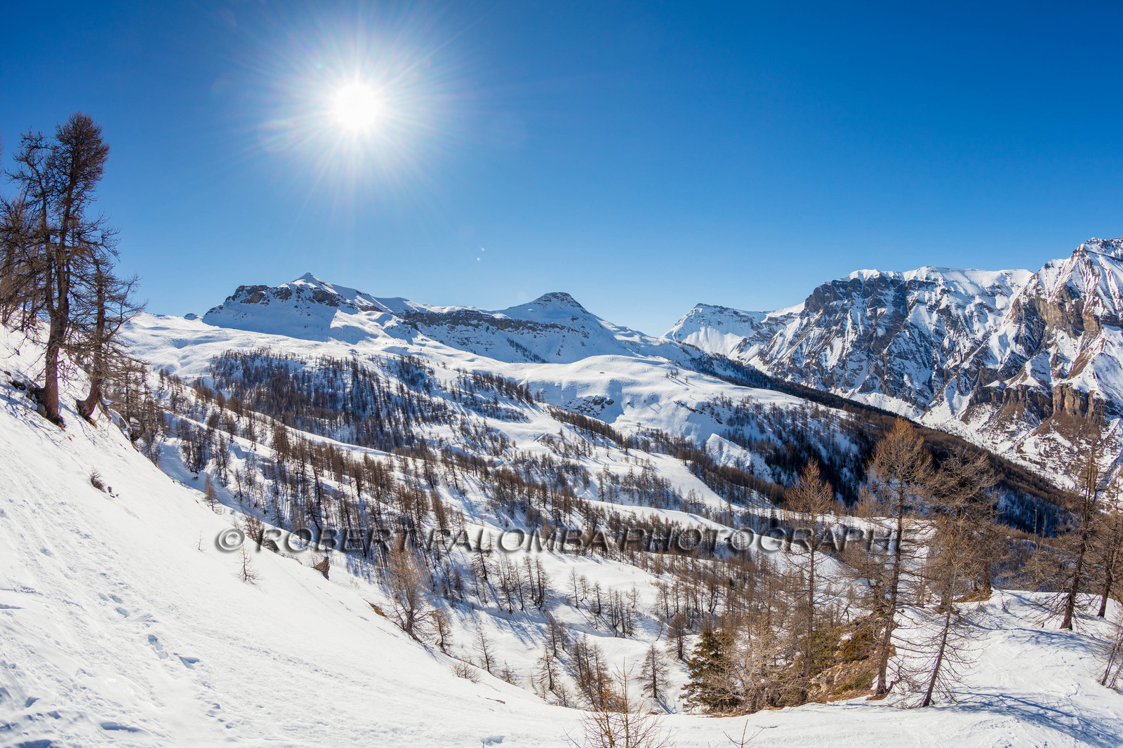 Auron