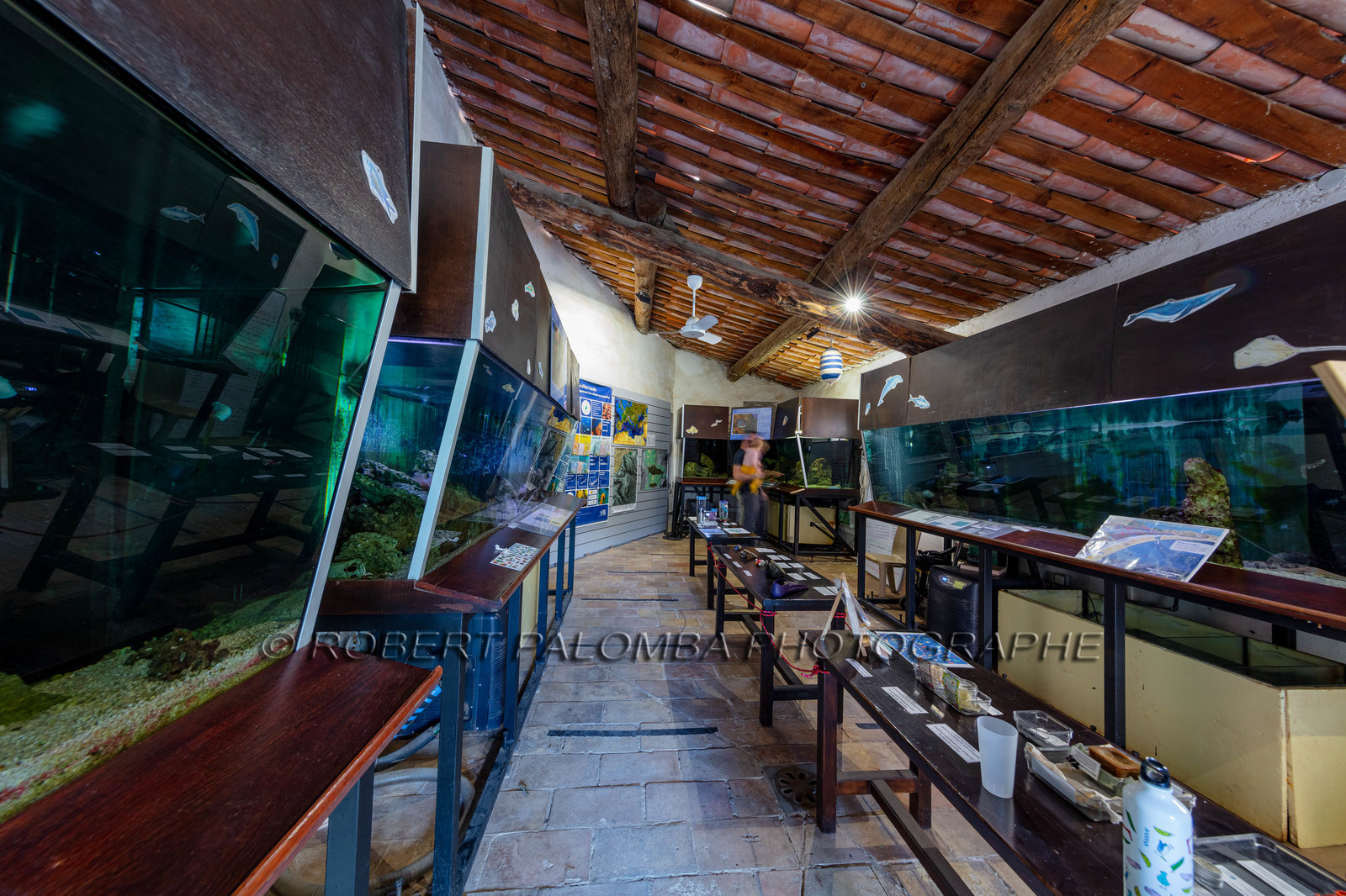 Lérins, Sainte-Marguerite