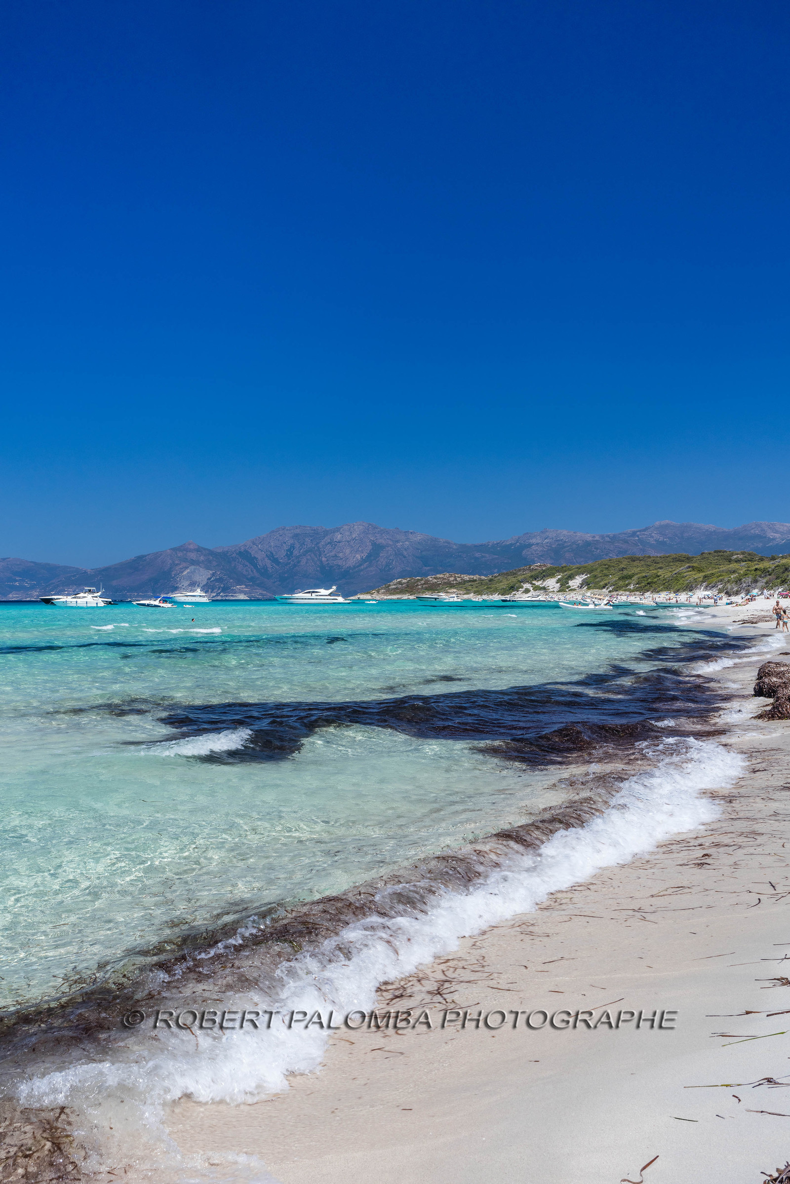 Saleccia