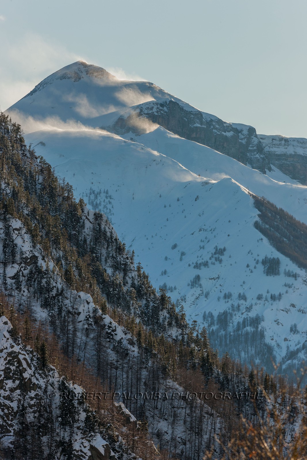 Le Mounier