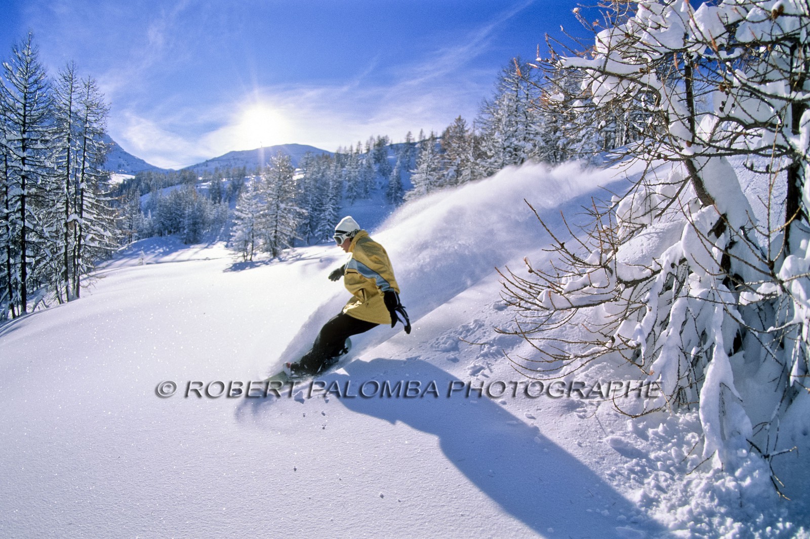 Snowboard