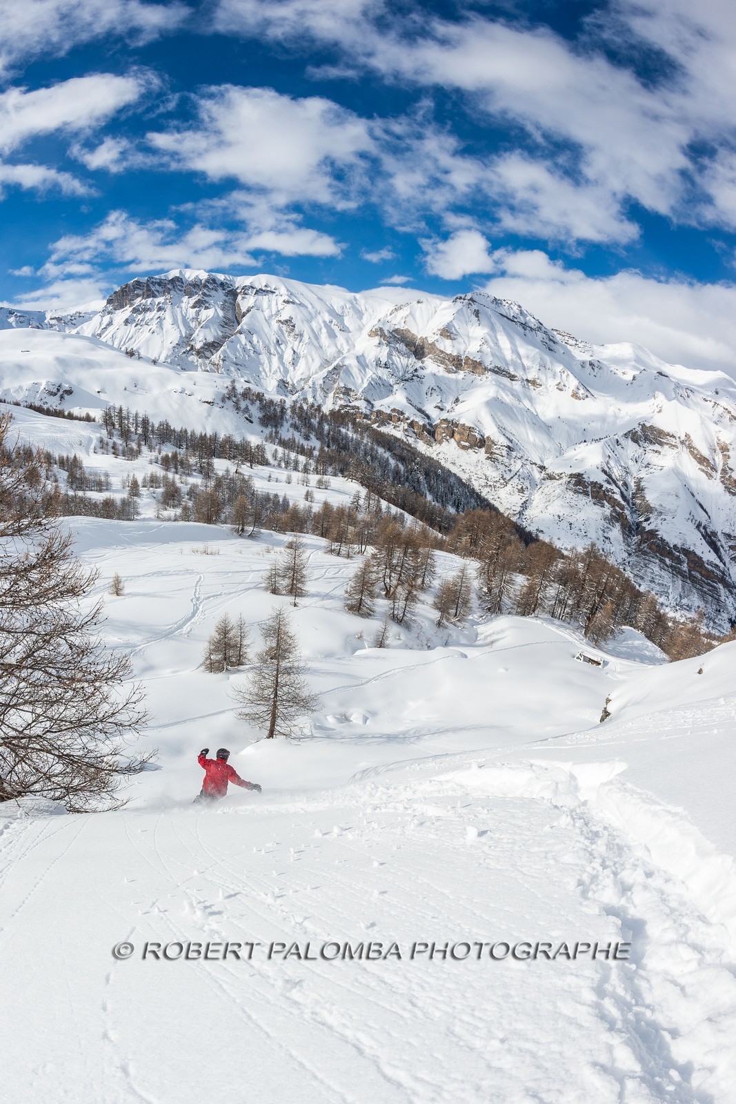 Auron