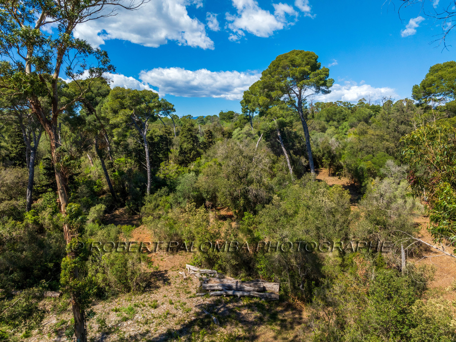 Lérins Sainte-Marguerite 2024