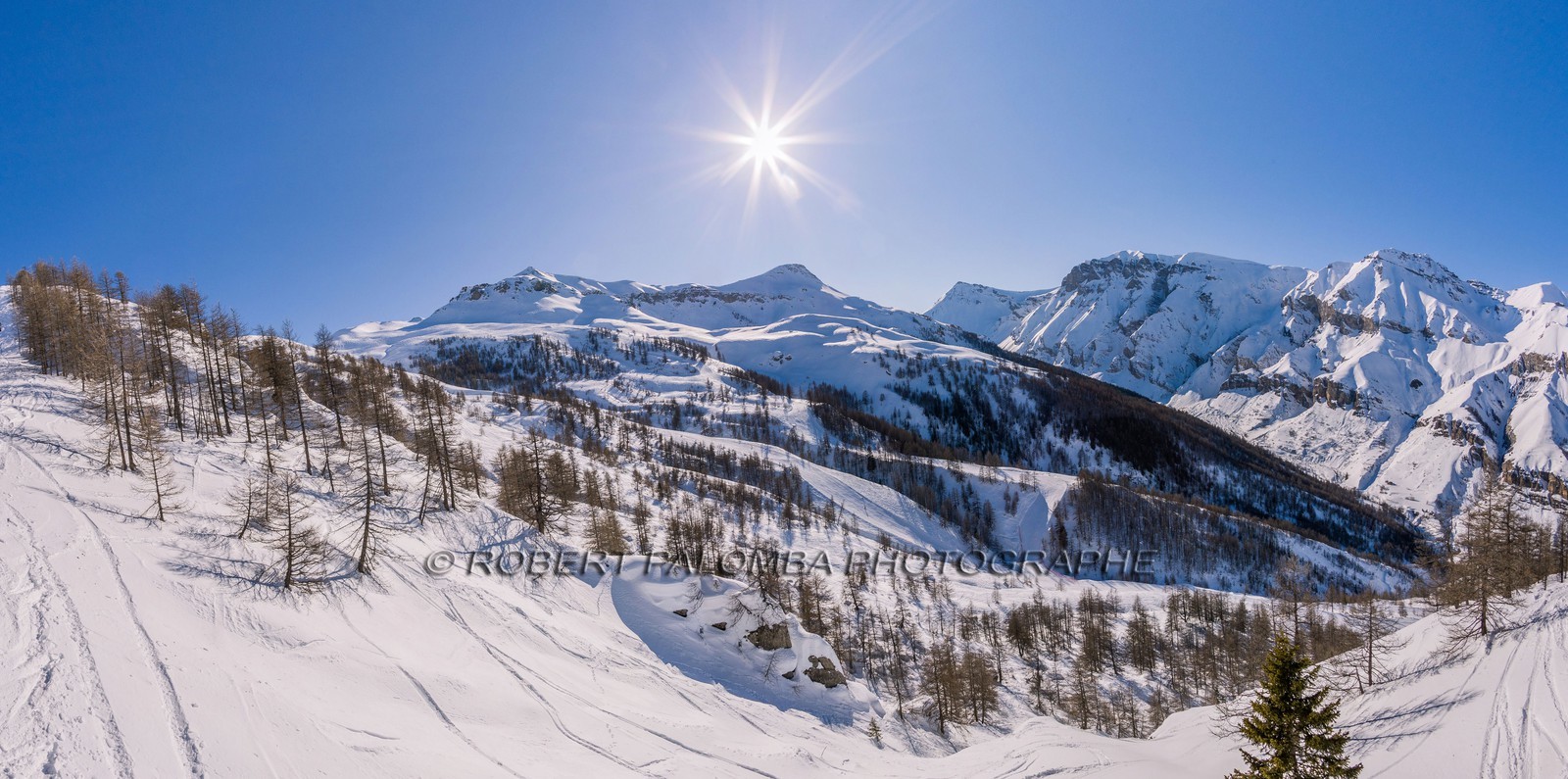 Auron