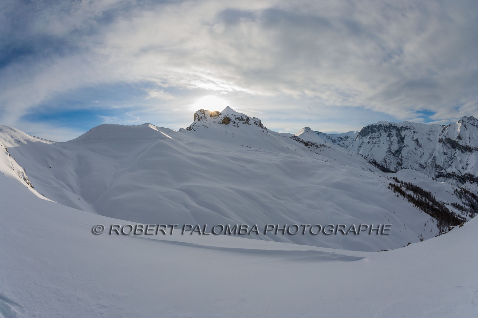 Auron
