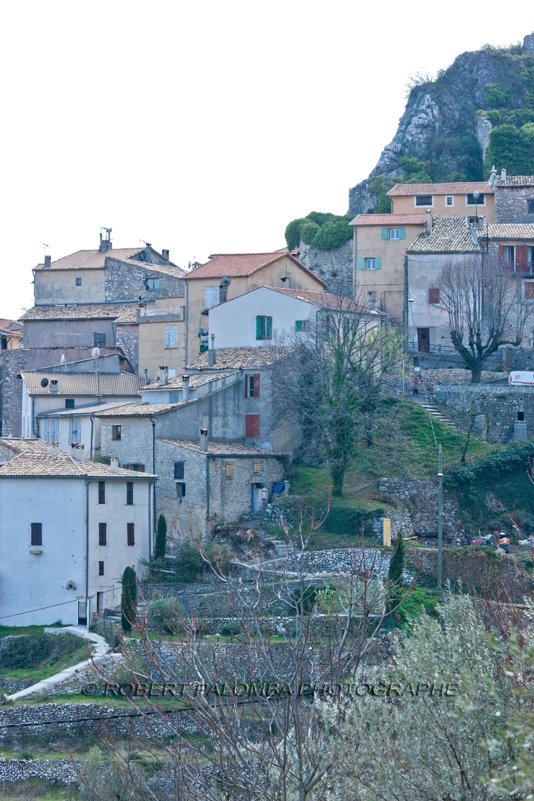 Sigale