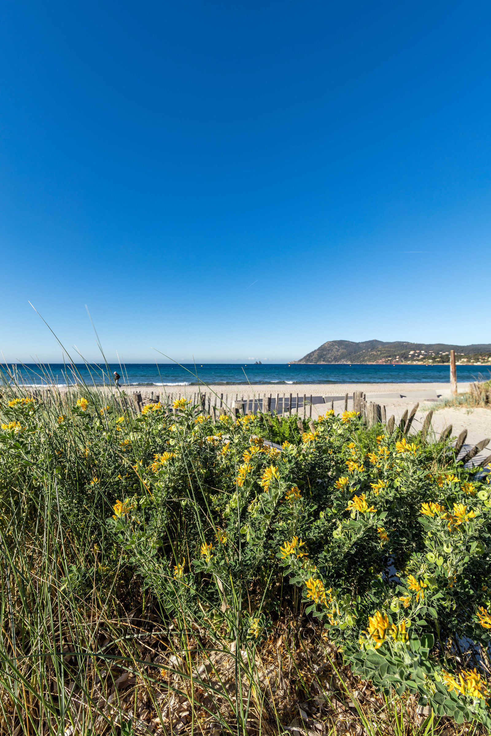 Plage des Sablettes
