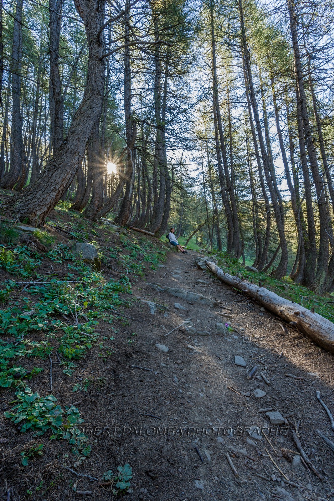 Col de la Petite Cayolle Col de la Petite Cayolle
